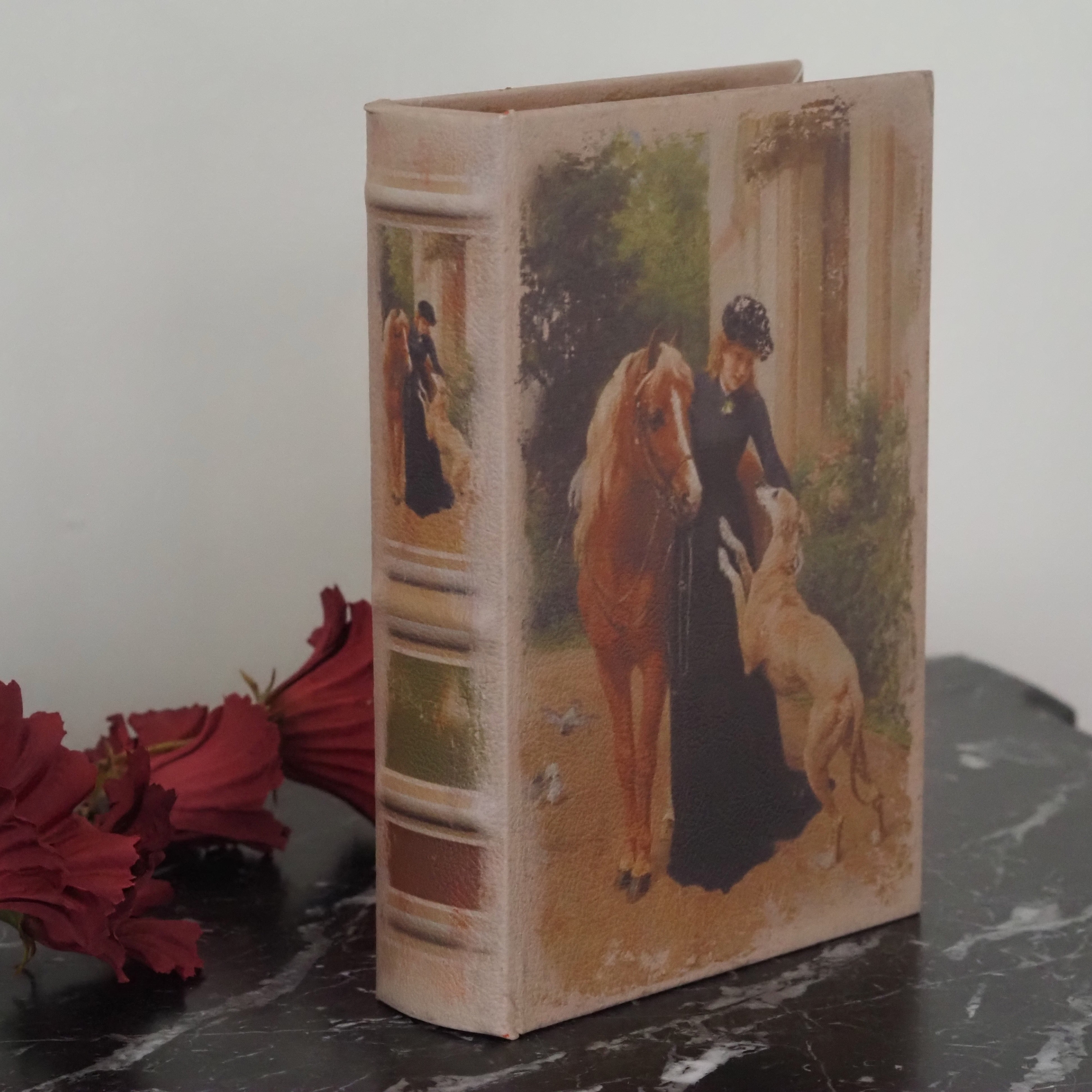 Aufbewahrungsbuch Dame 20 cm braun · dekorative Buchbox mit historischem Motiv