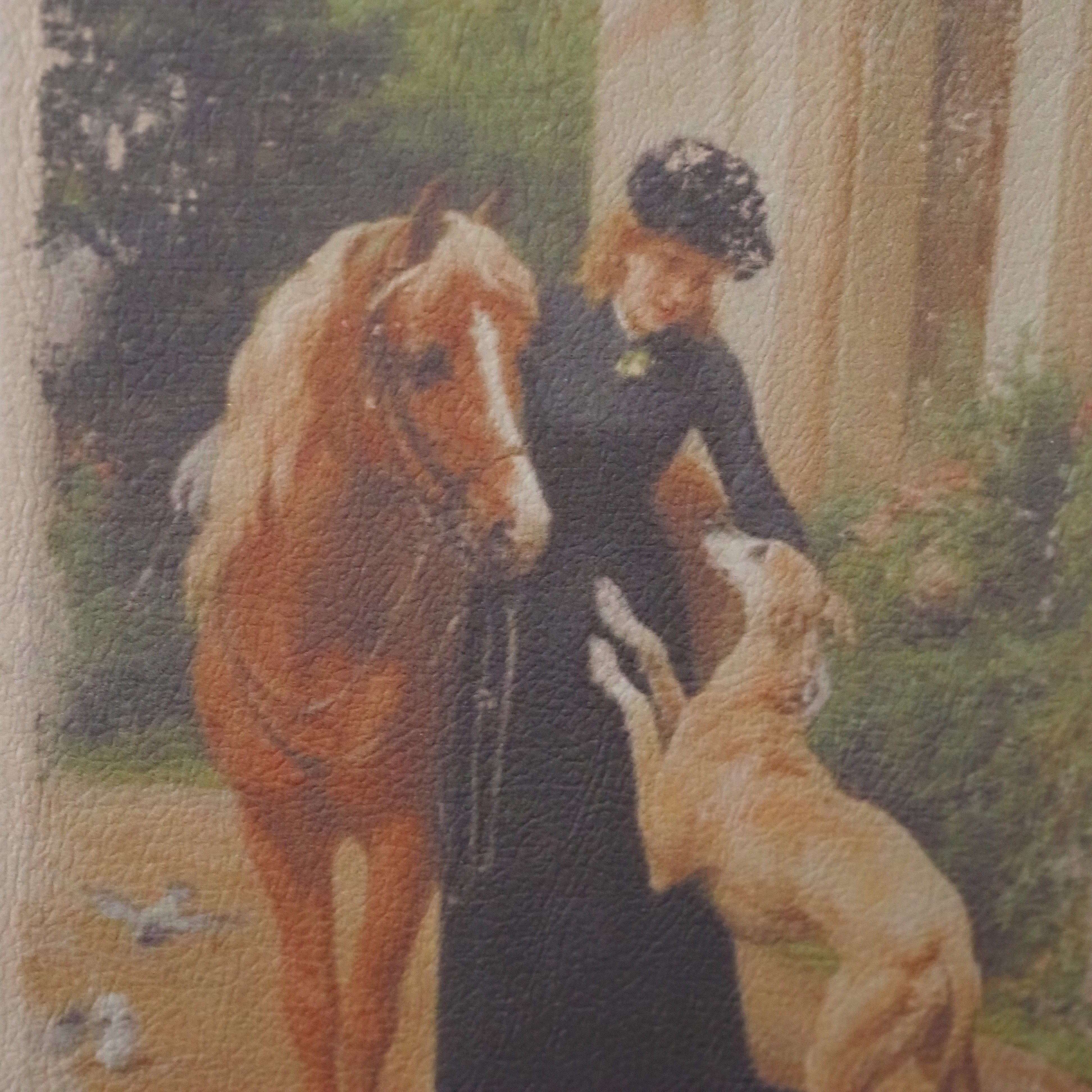 Aufbewahrungsbuch Dame 20 cm braun · dekorative Buchbox mit historischem Motiv