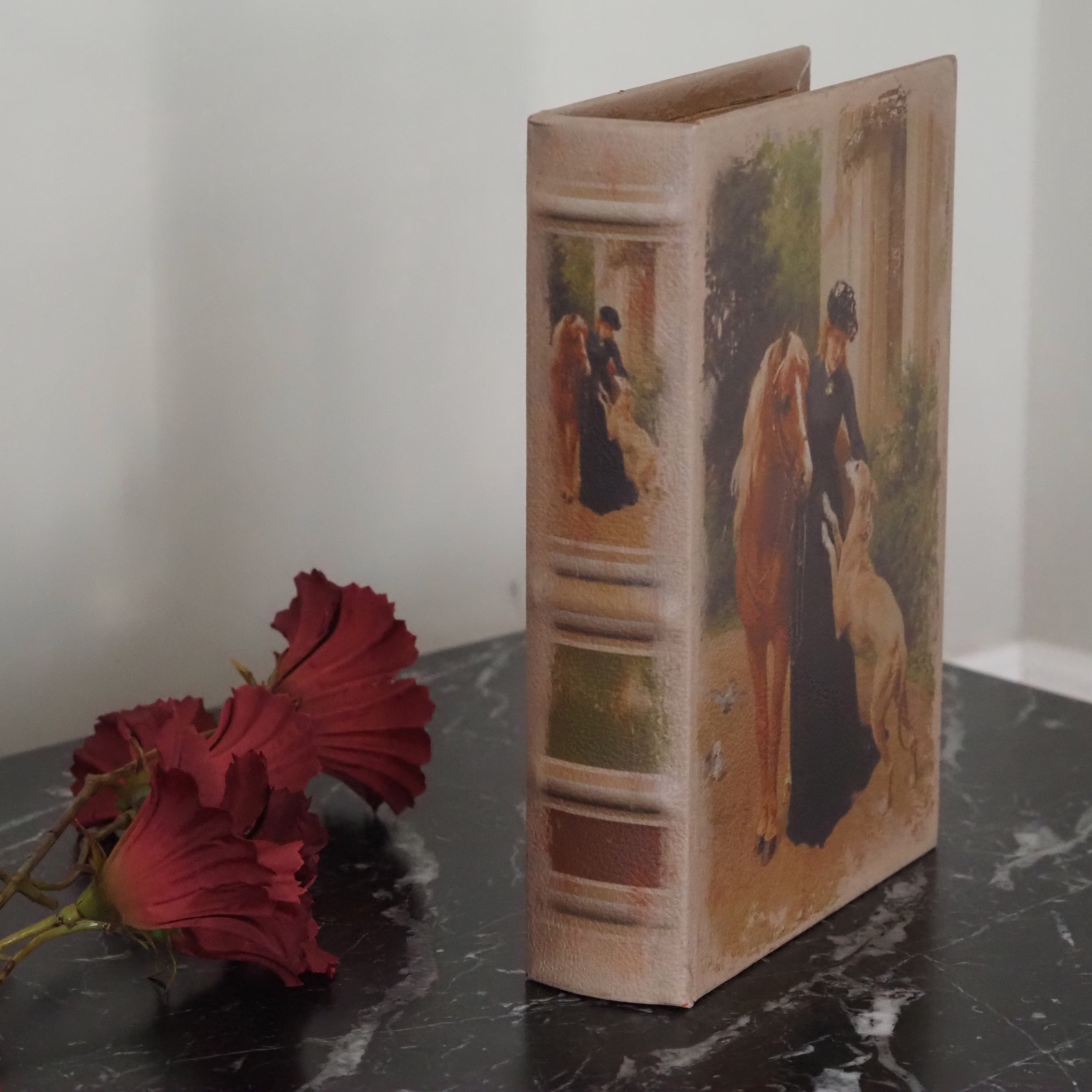 Aufbewahrungsbuch Dame 20 cm braun · dekorative Buchbox mit historischem Motiv