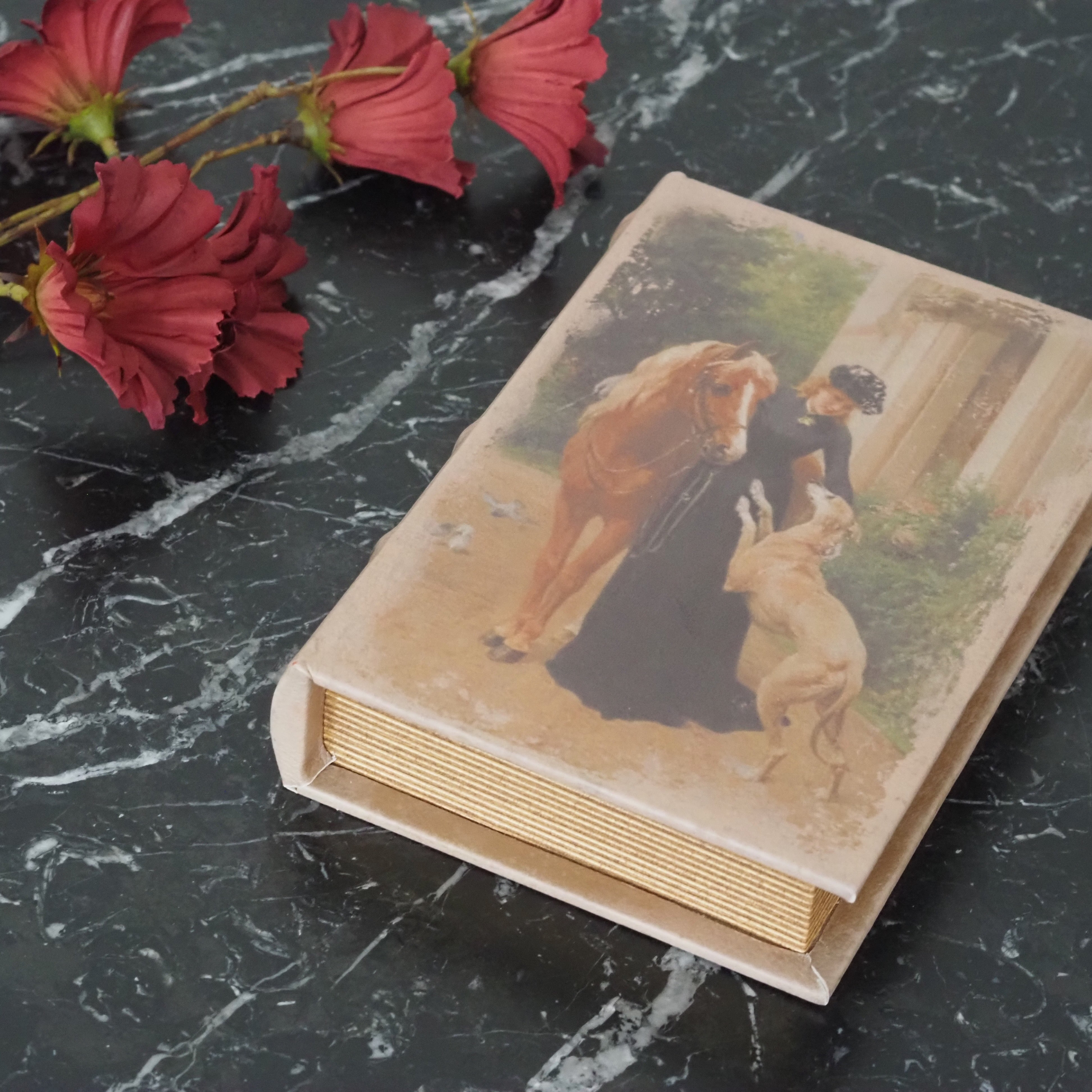 Aufbewahrungsbuch Dame 20 cm braun · dekorative Buchbox mit historischem Motiv