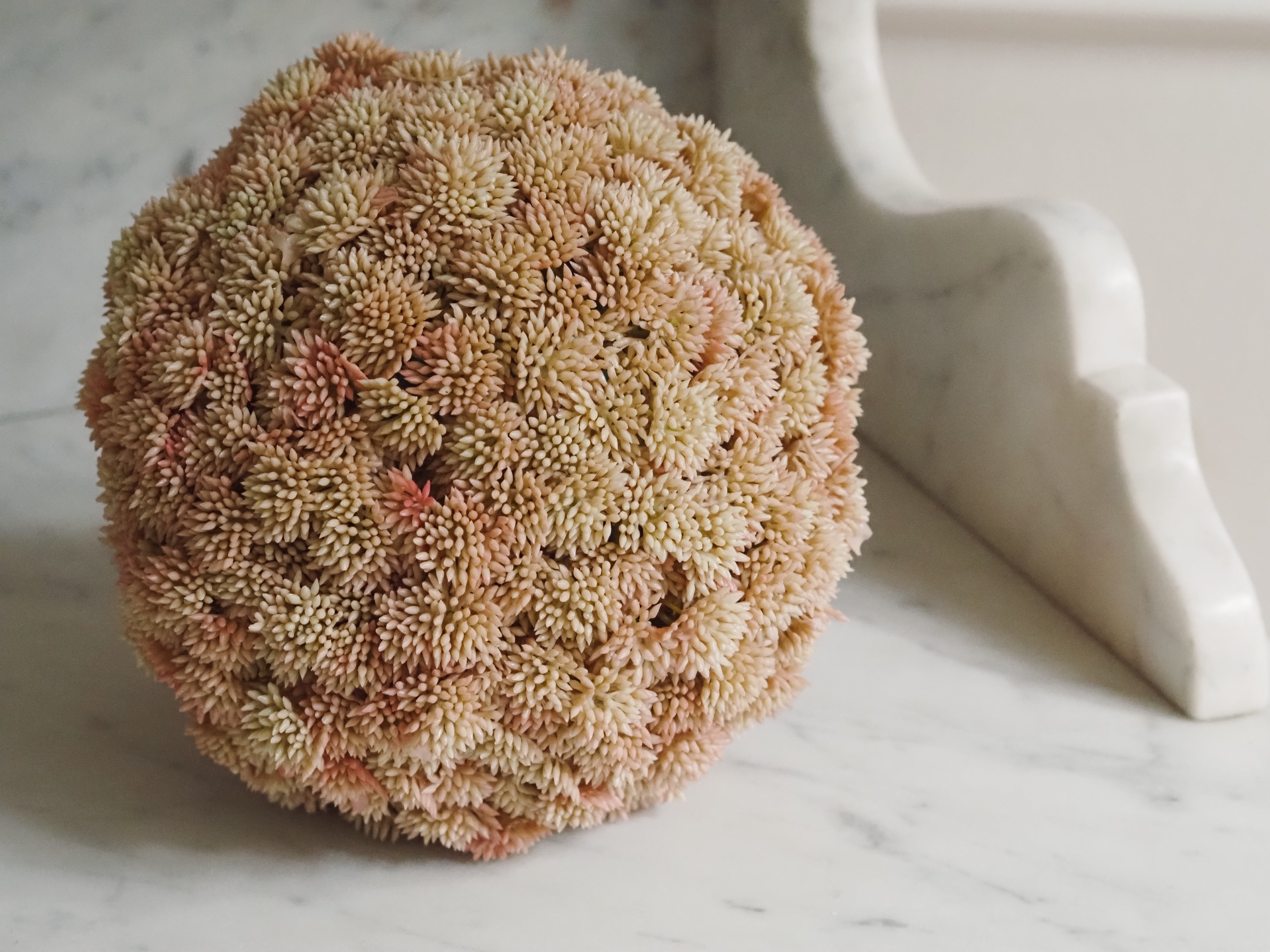 Sedumball · Botanische Dekoration Apricot