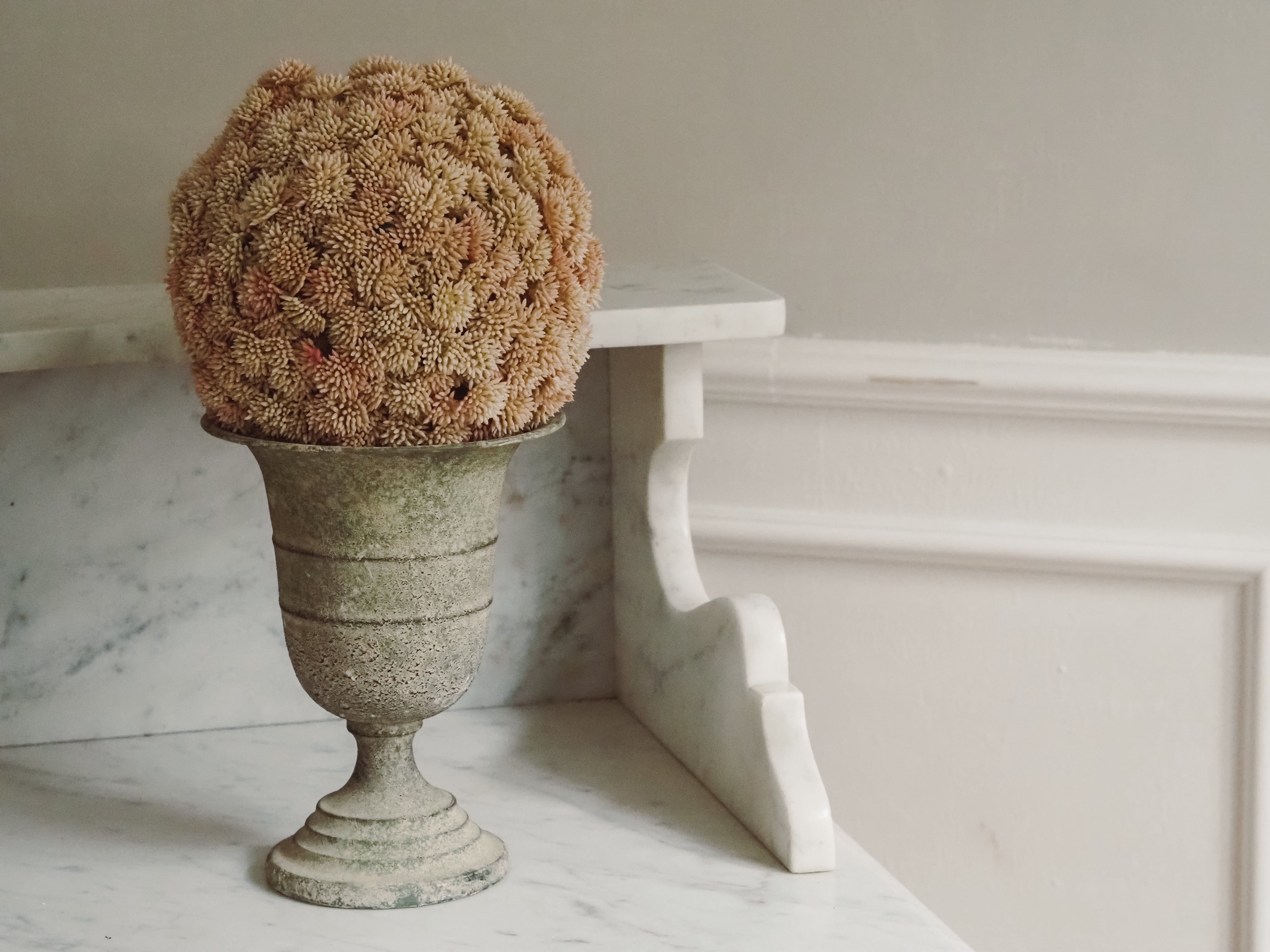 Sedumball · Botanische Dekoration Apricot