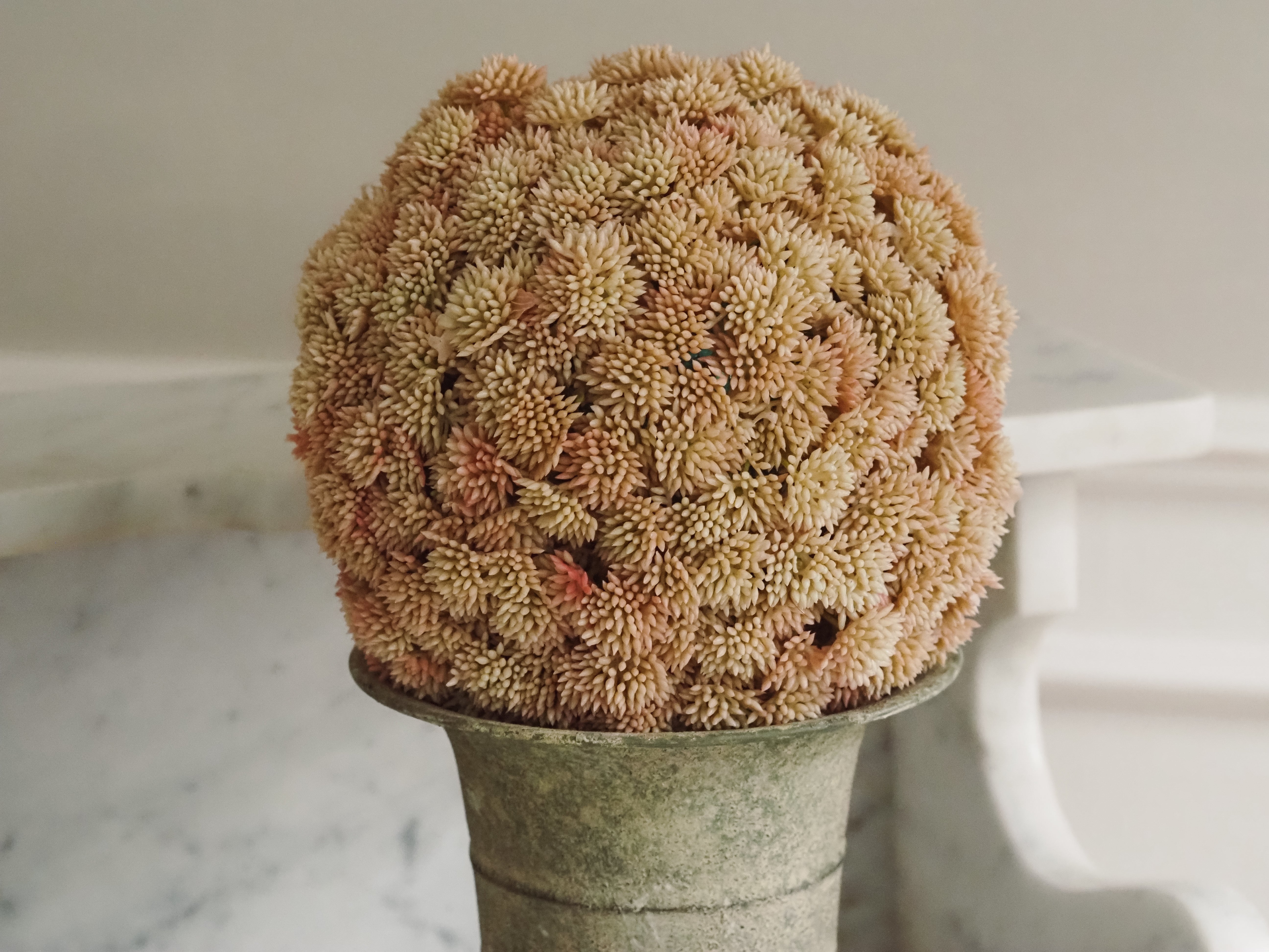Sedumball · Botanische Dekoration Apricot