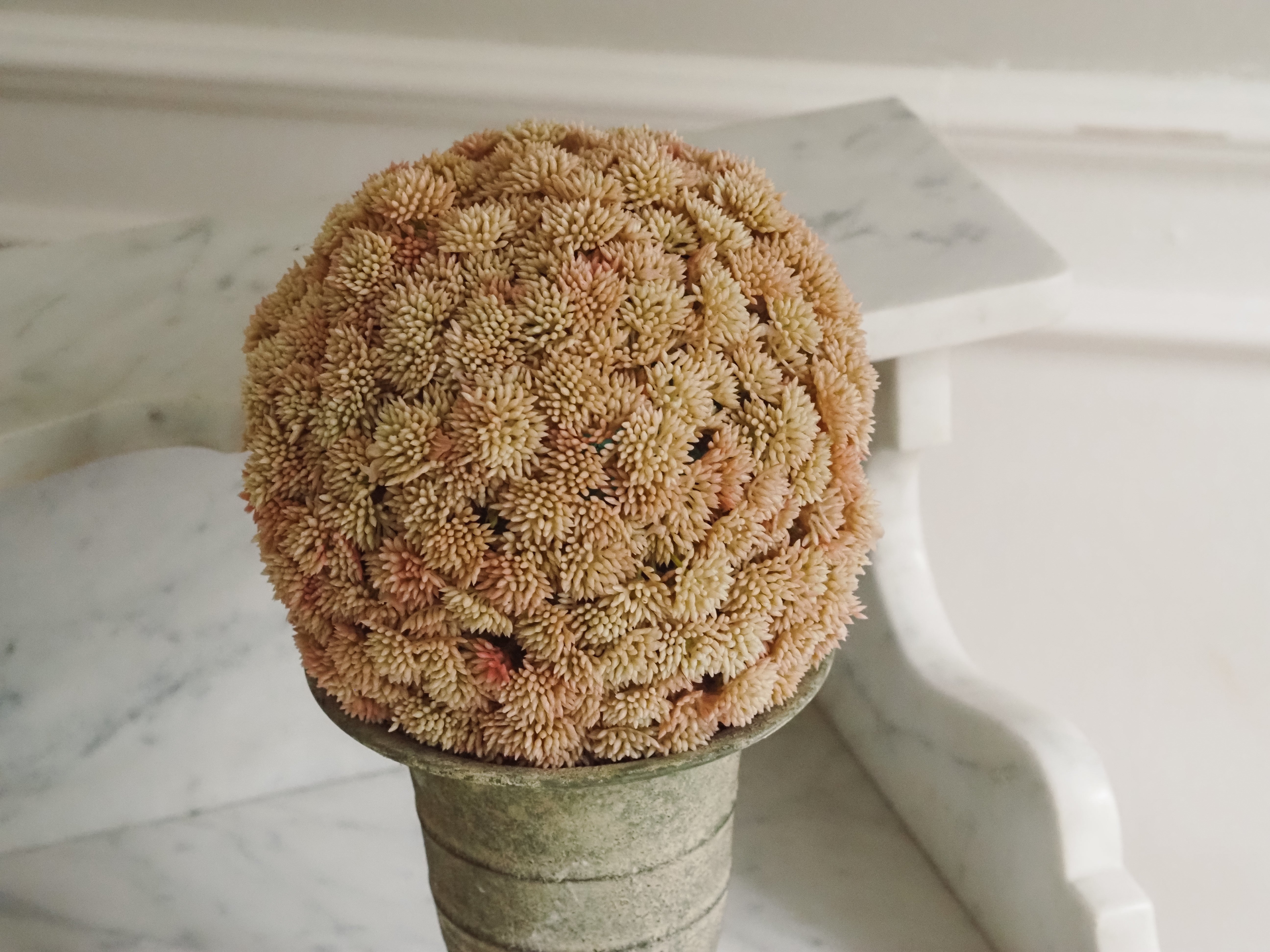Sedumball · Botanische Dekoration Apricot