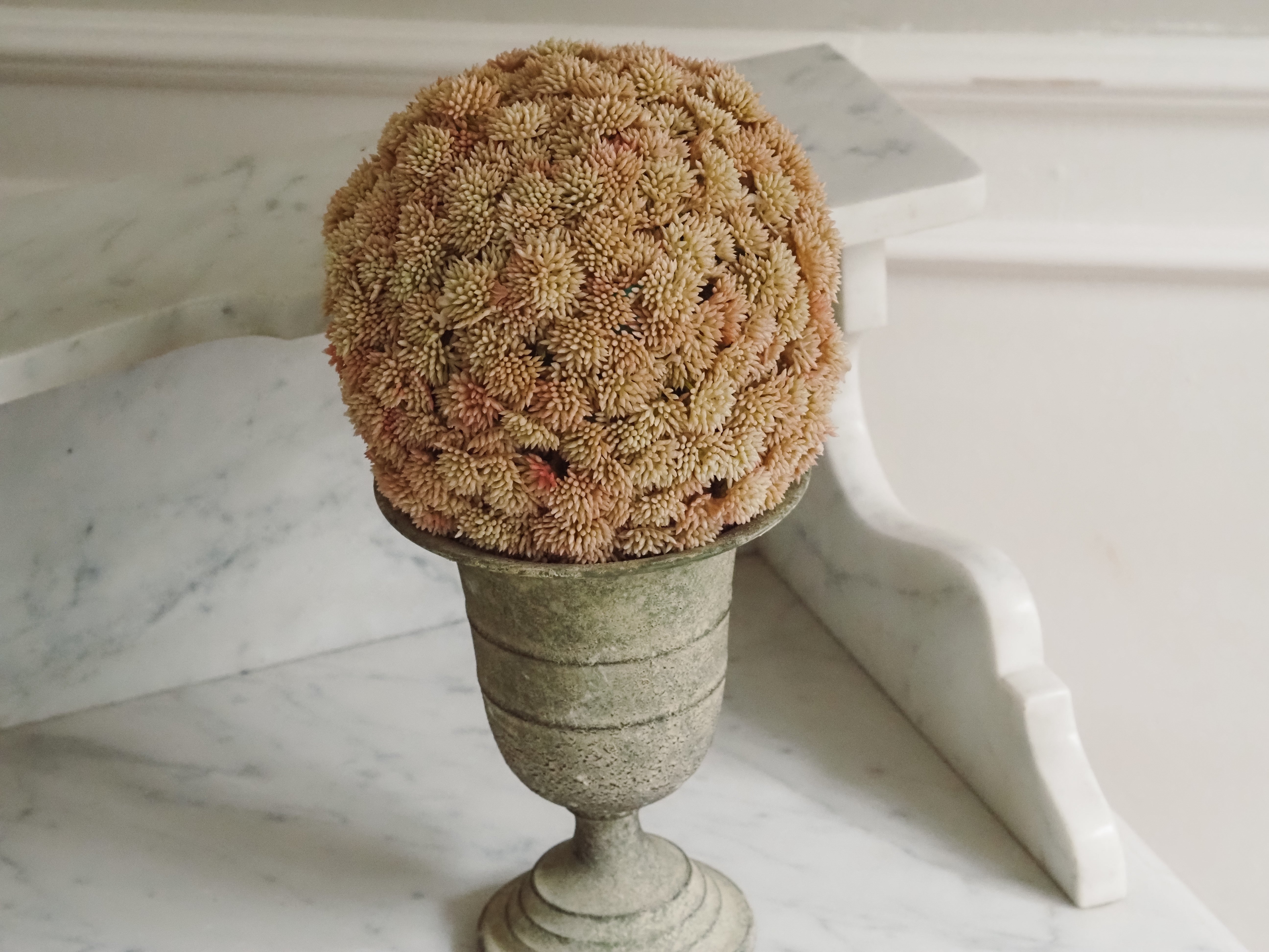 Sedumball · Botanische Dekoration Apricot