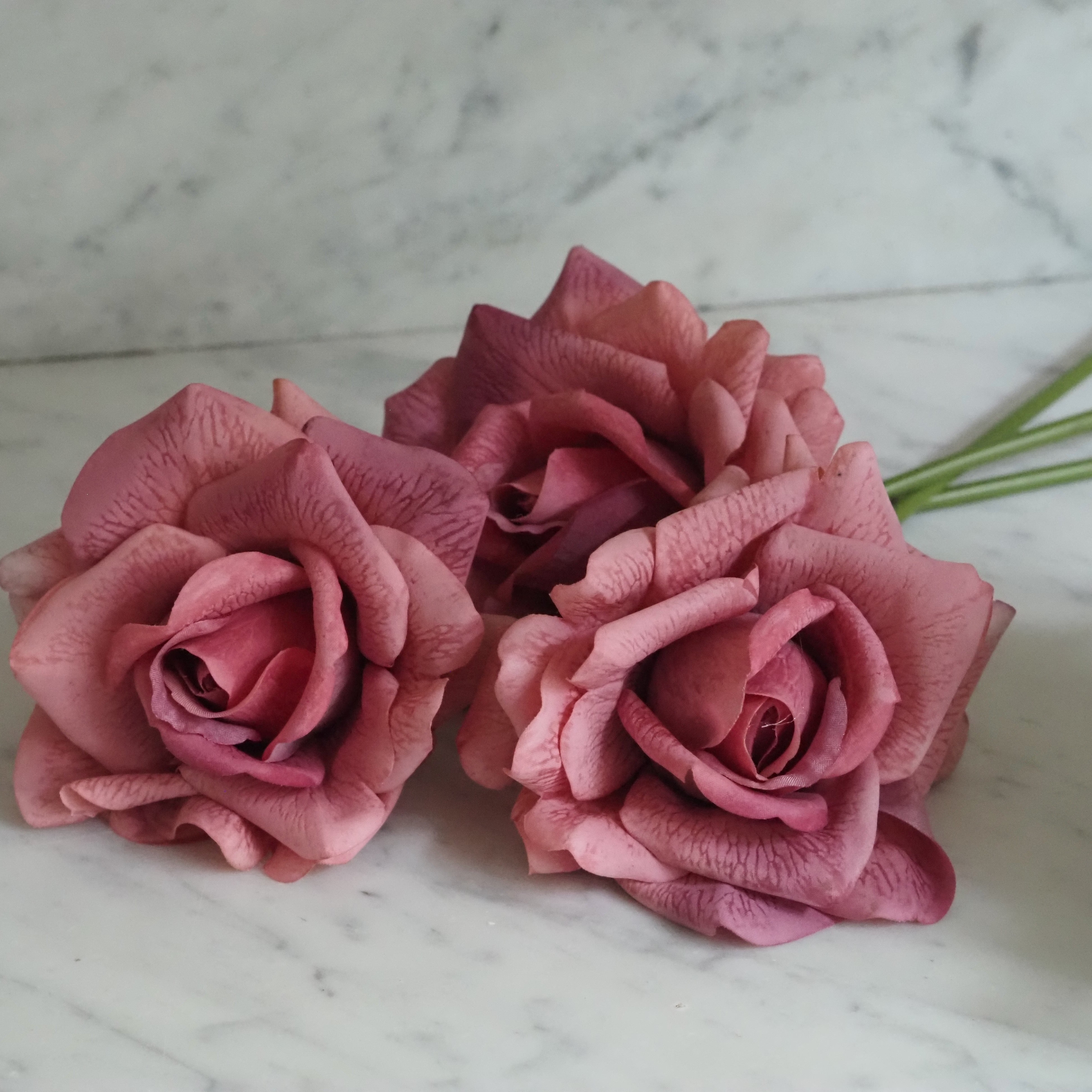 Rosenbund Altrosa · dekorativer Blütenzweig mit drei Rosen