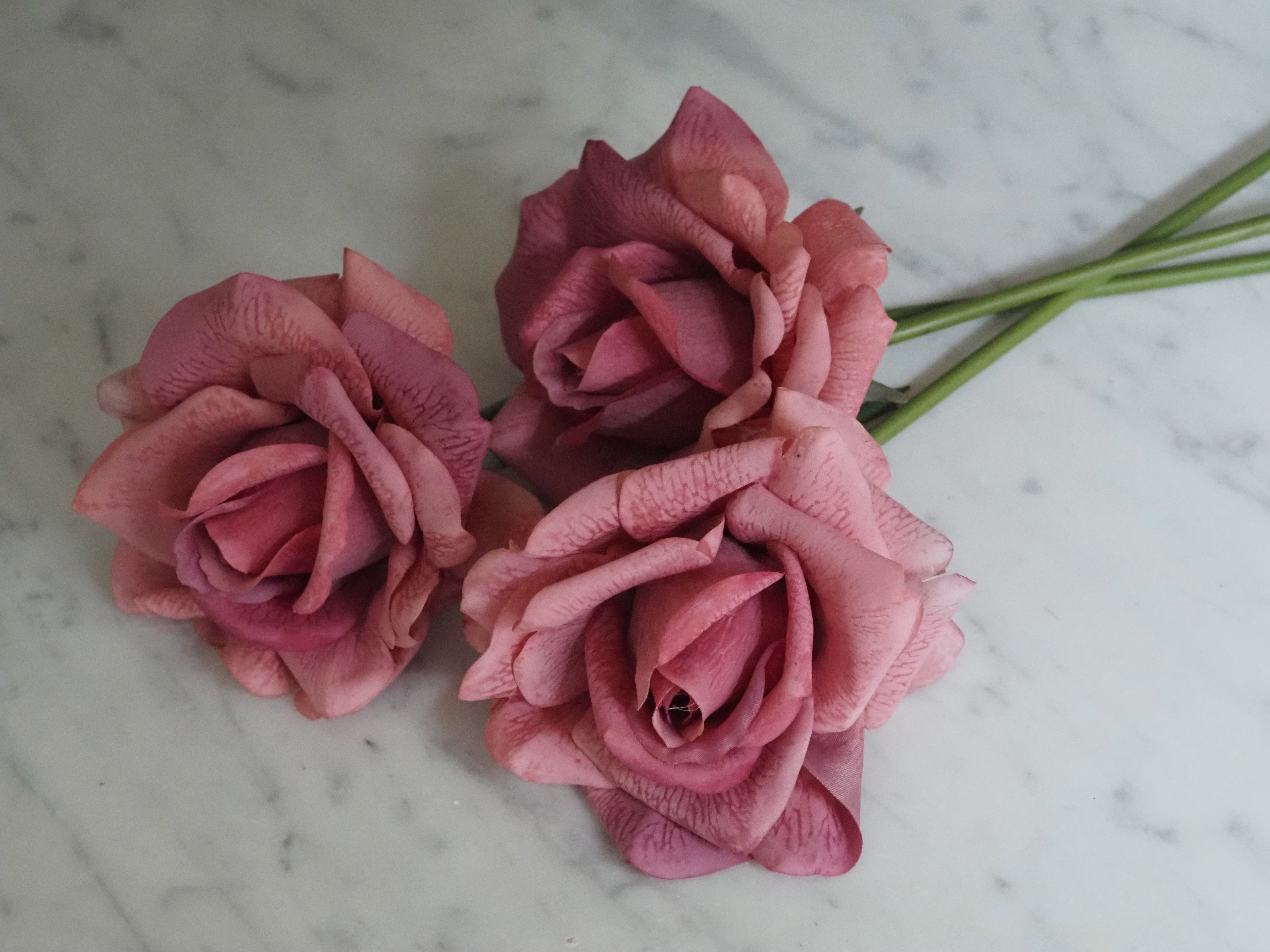 Rosenbund Altrosa · dekorativer Blütenzweig mit drei Rosen