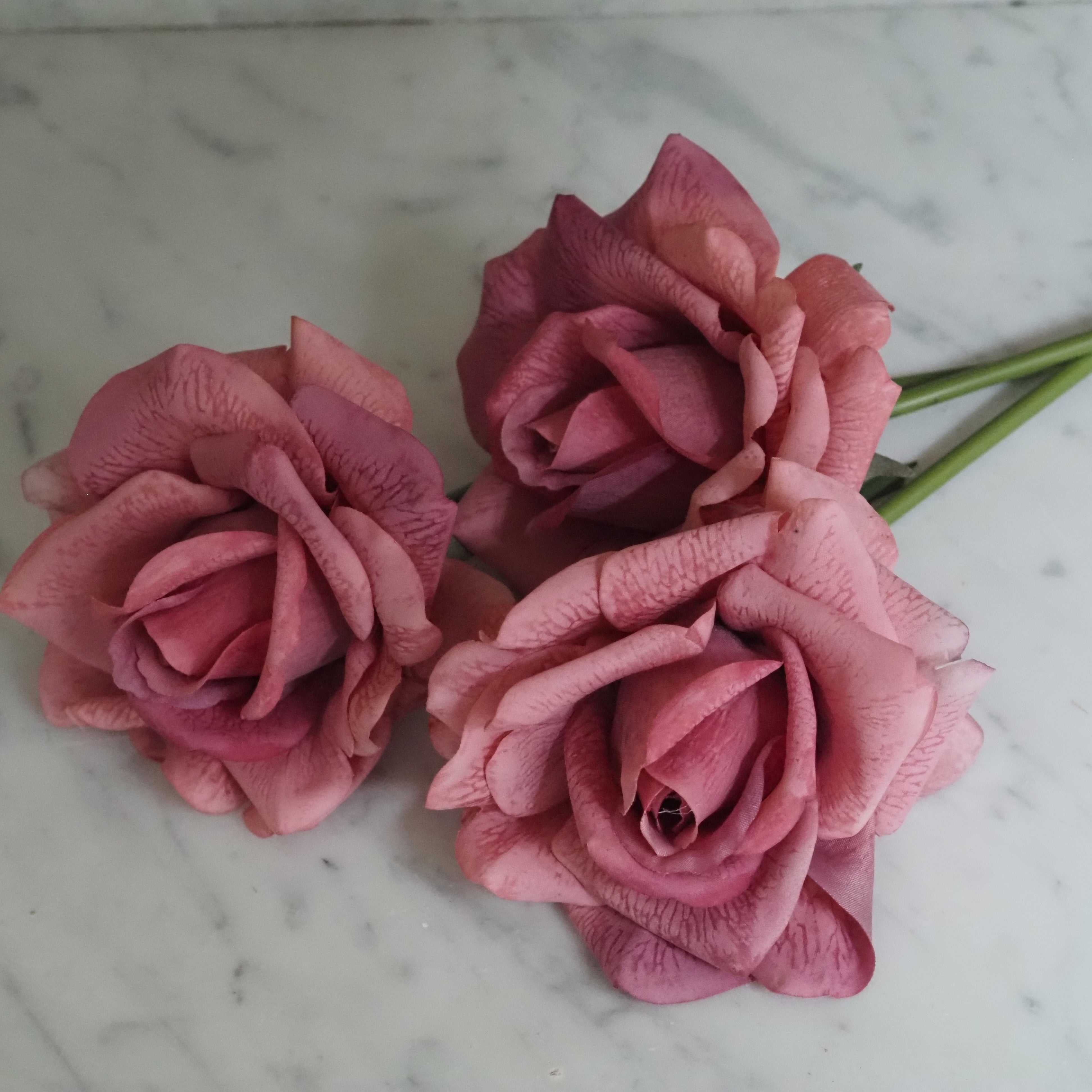 Rosenbund Altrosa · dekorativer Blütenzweig mit drei Rosen