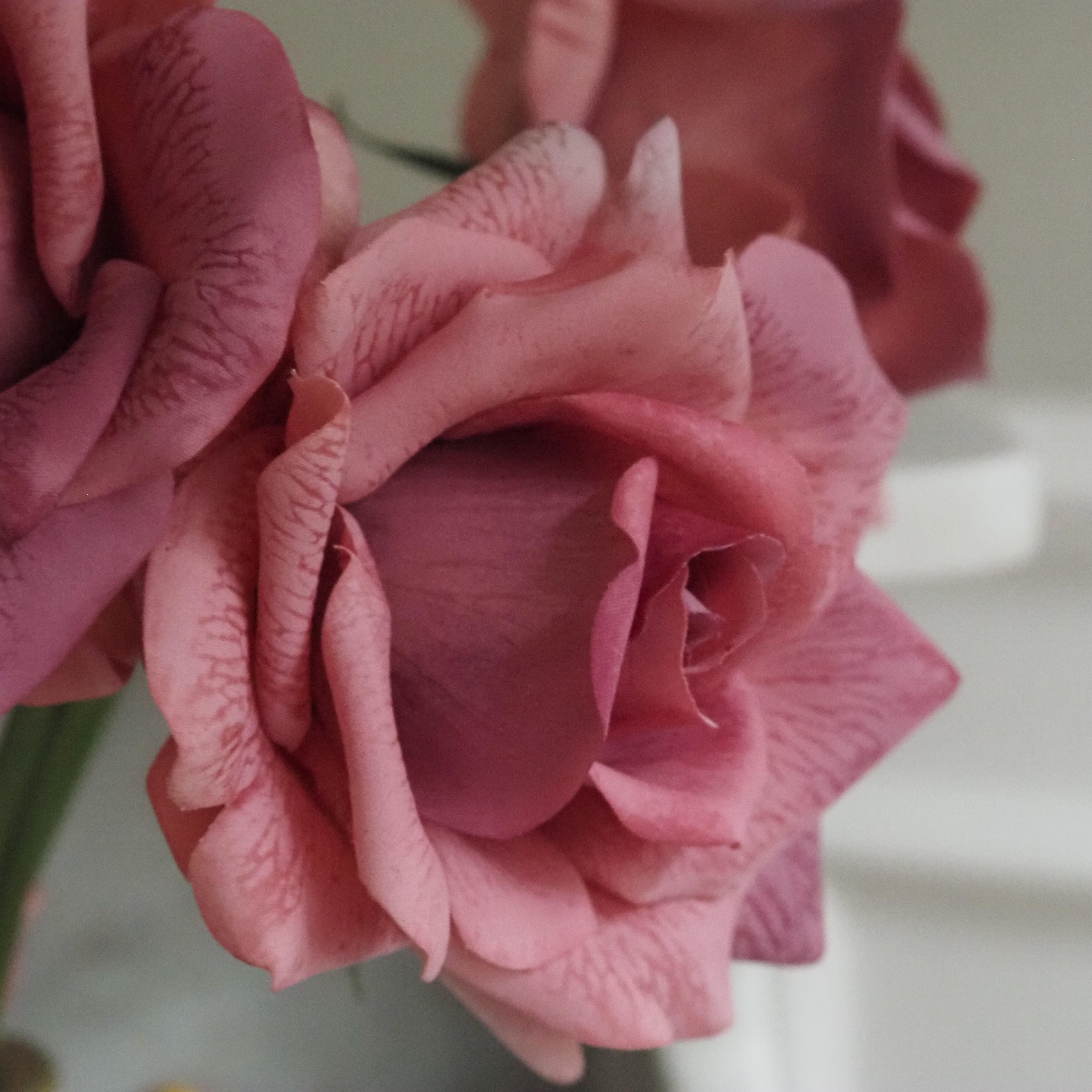 Rosenbund Altrosa · dekorativer Blütenzweig mit drei Rosen