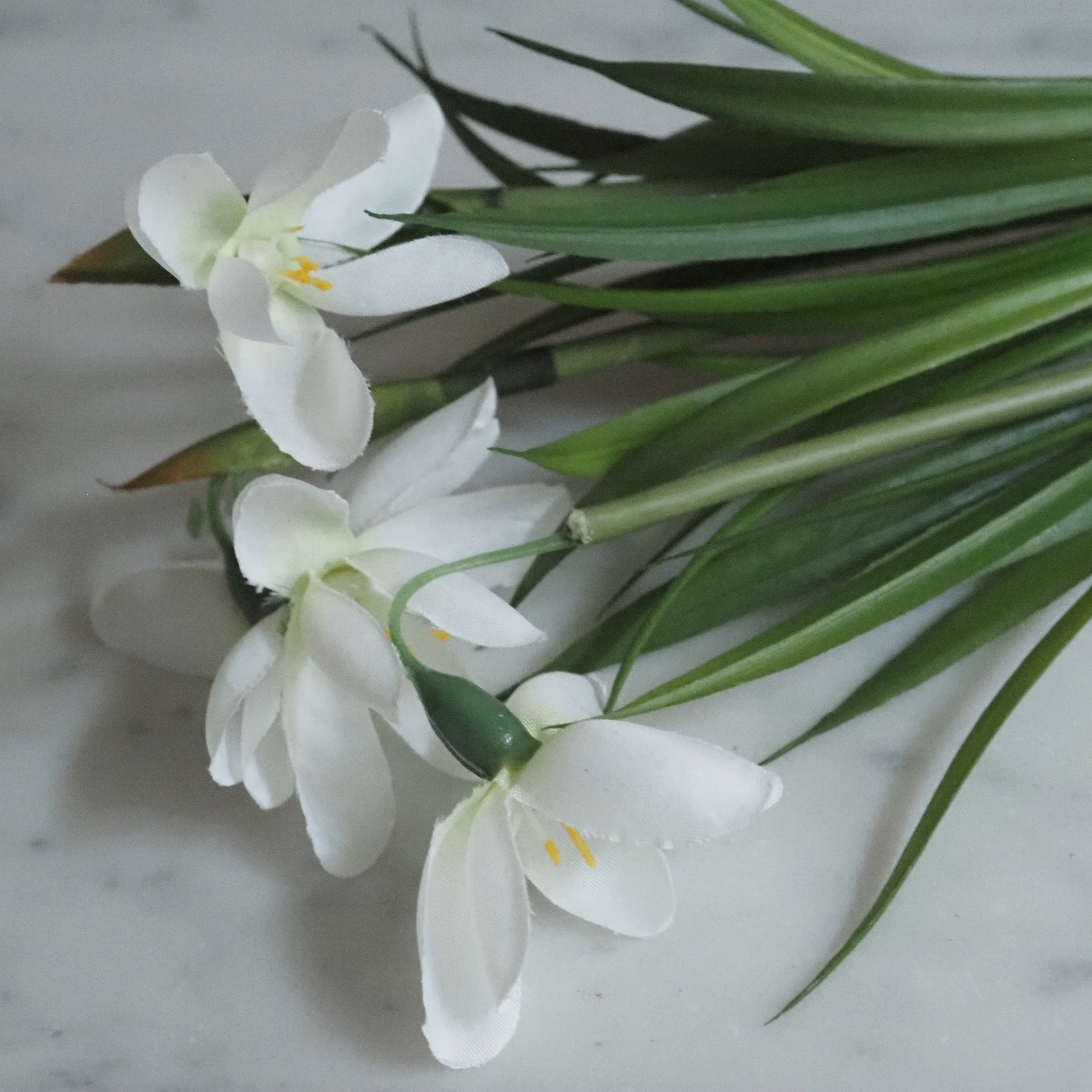 Schneeglöckchen Zweig Set · Frühlingsdekoration für Glasgefäße