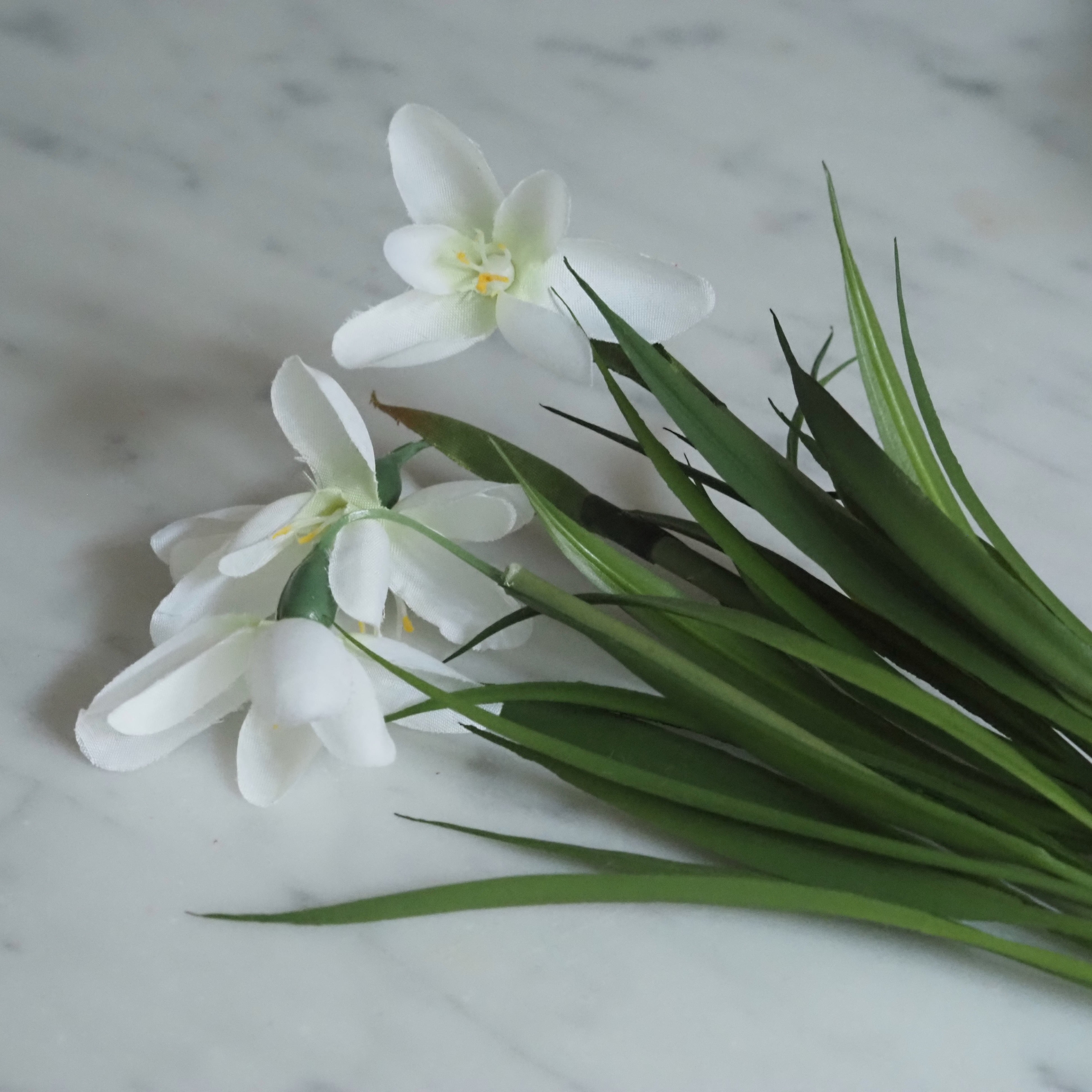 Schneeglöckchen Zweig Set · Frühlingsdekoration für Glasgefäße
