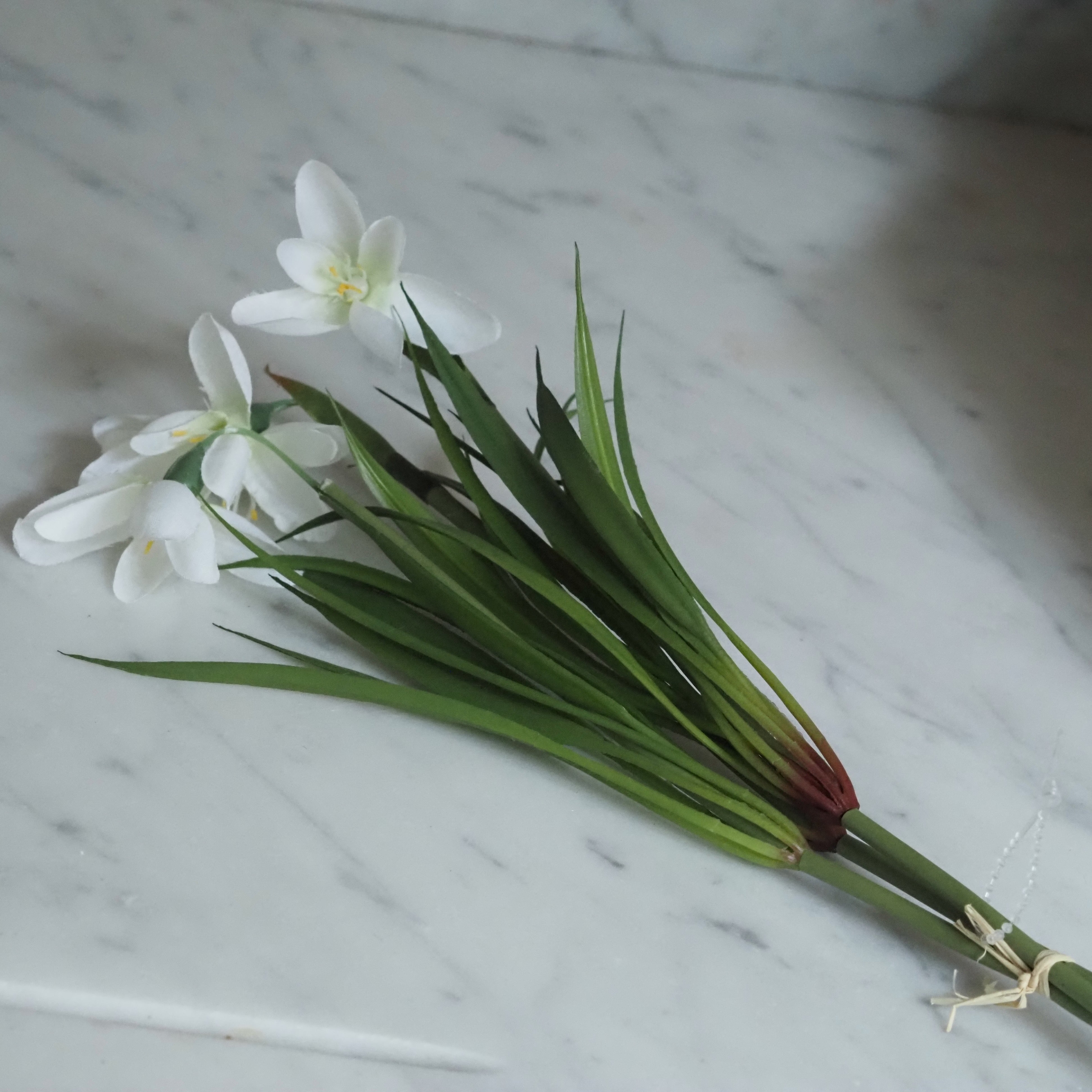 Schneeglöckchen Zweig Set · Frühlingsdekoration für Glasgefäße