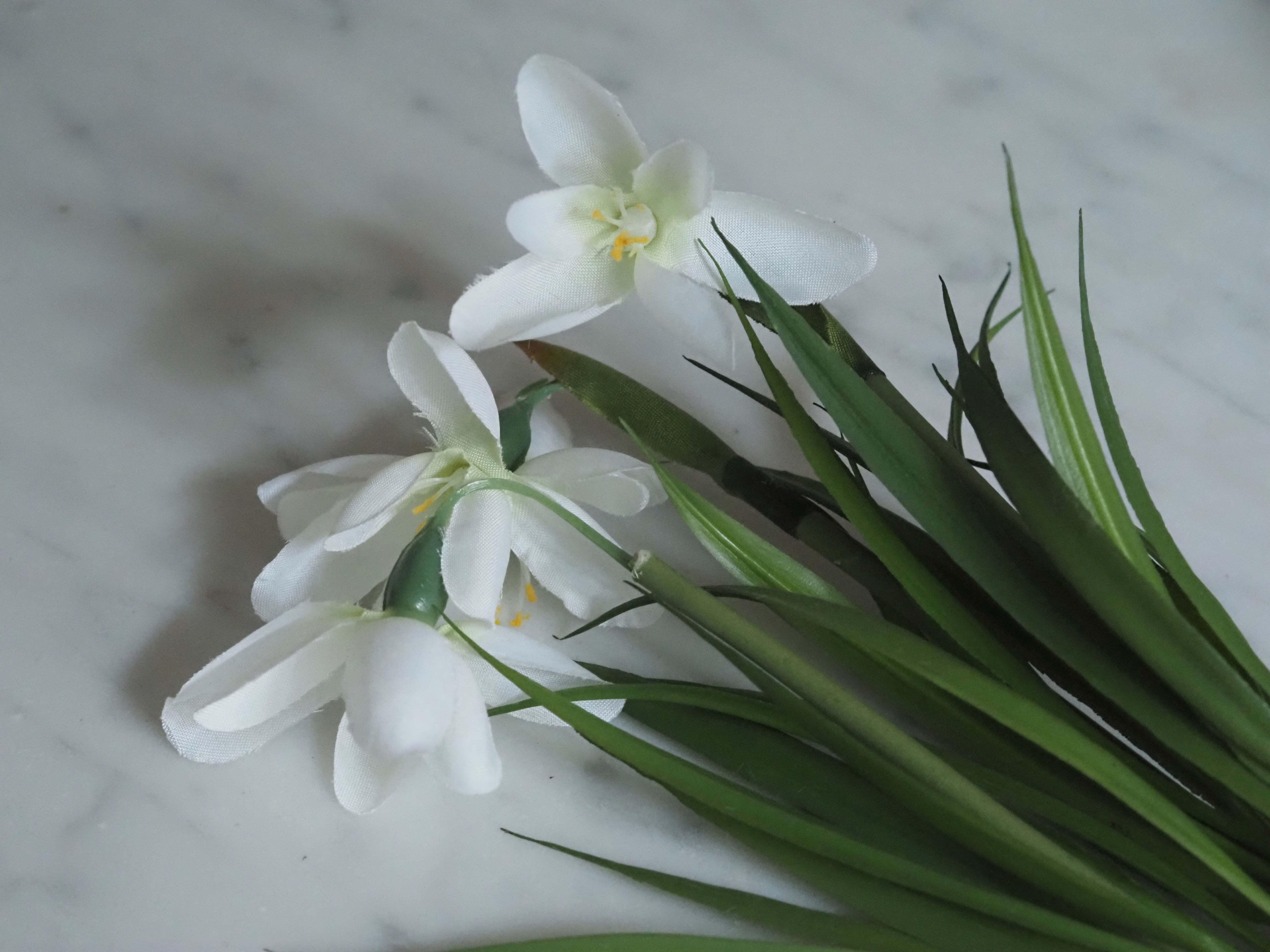Schneeglöckchen Zweig Set · Frühlingsdekoration für Glasgefäße