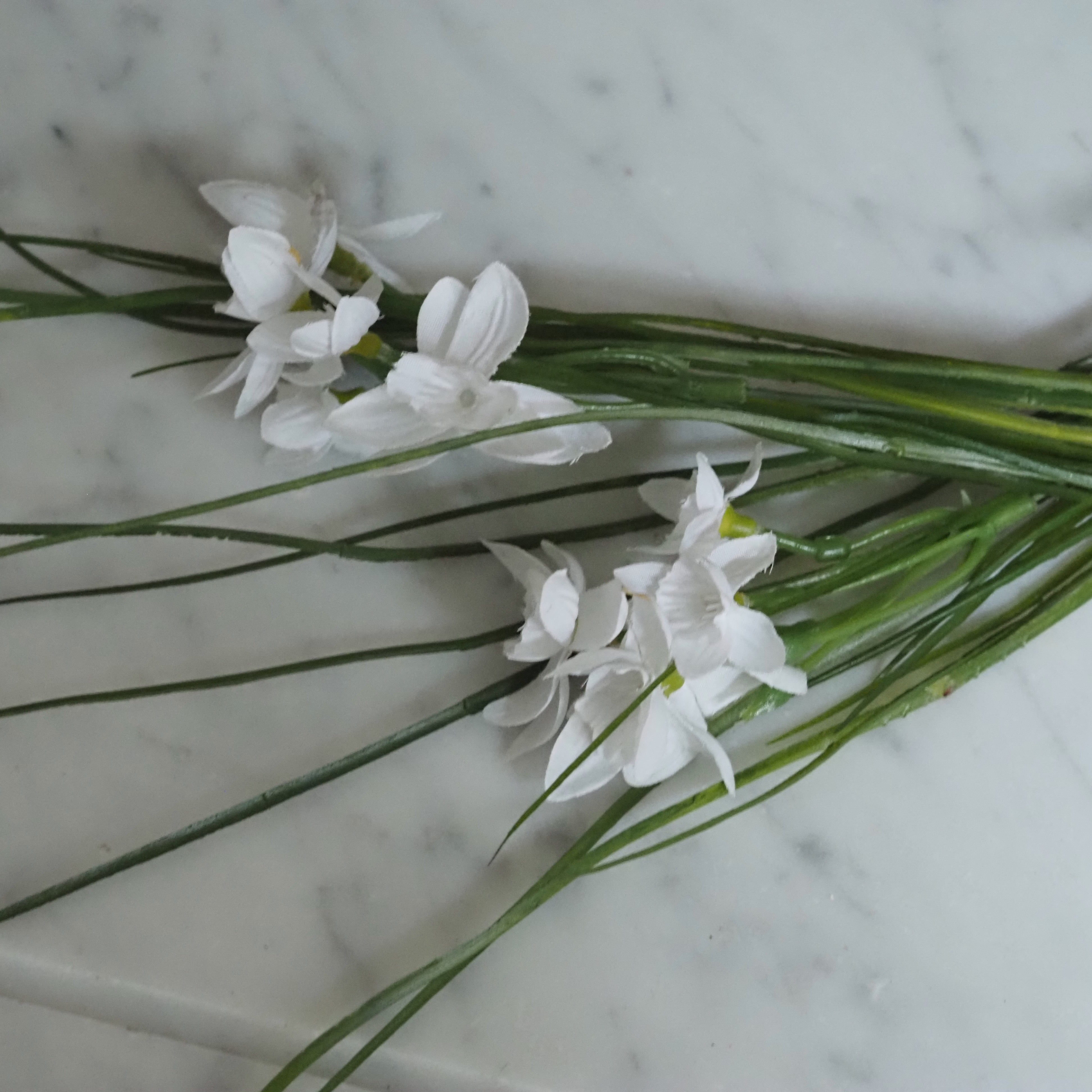 Schneeglöckchen Zweig Set · Frühlingsdekoration für Glasgefäße