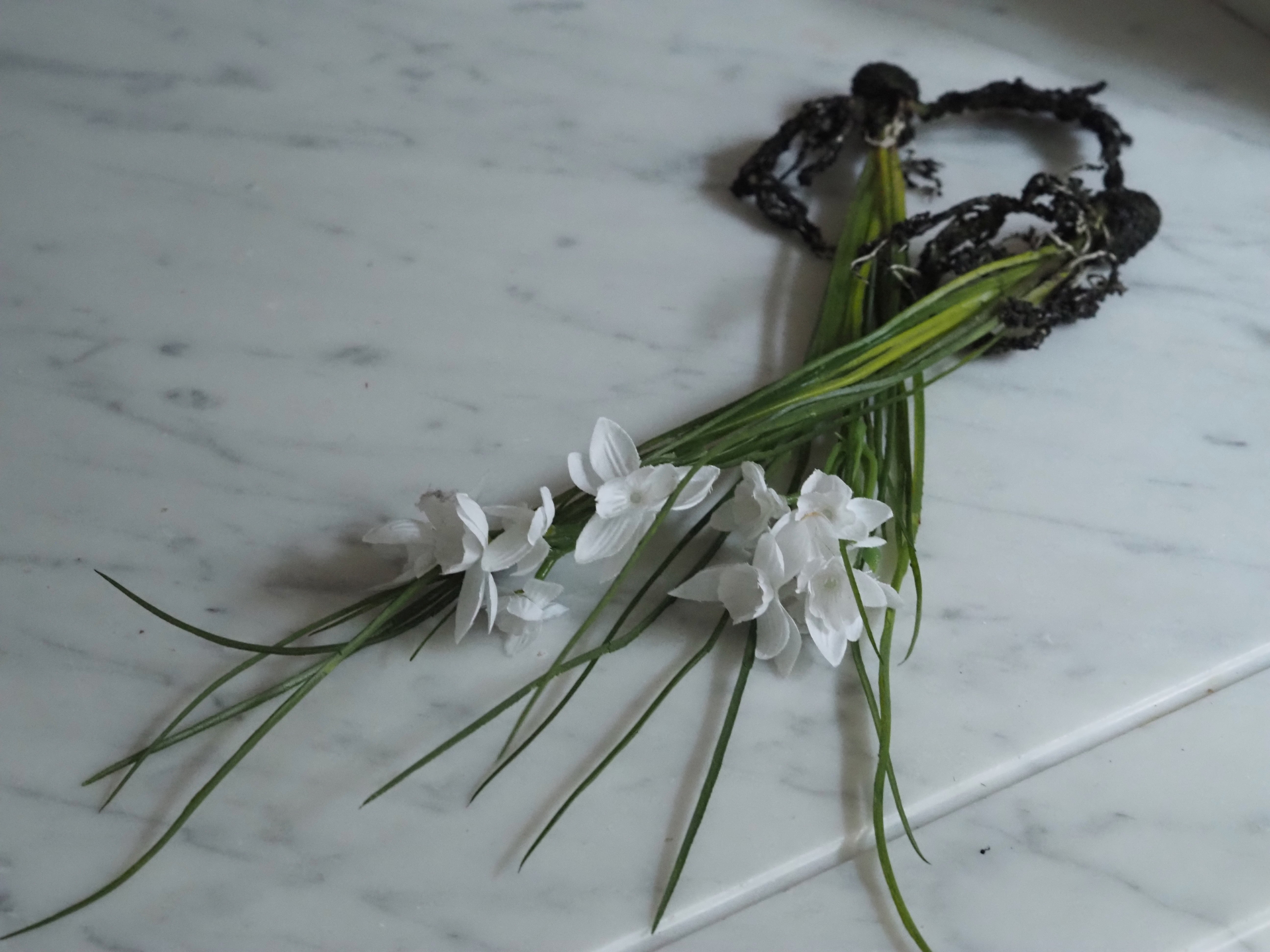 Schneeglöckchen Zweig Set · Frühlingsdekoration für Glasgefäße