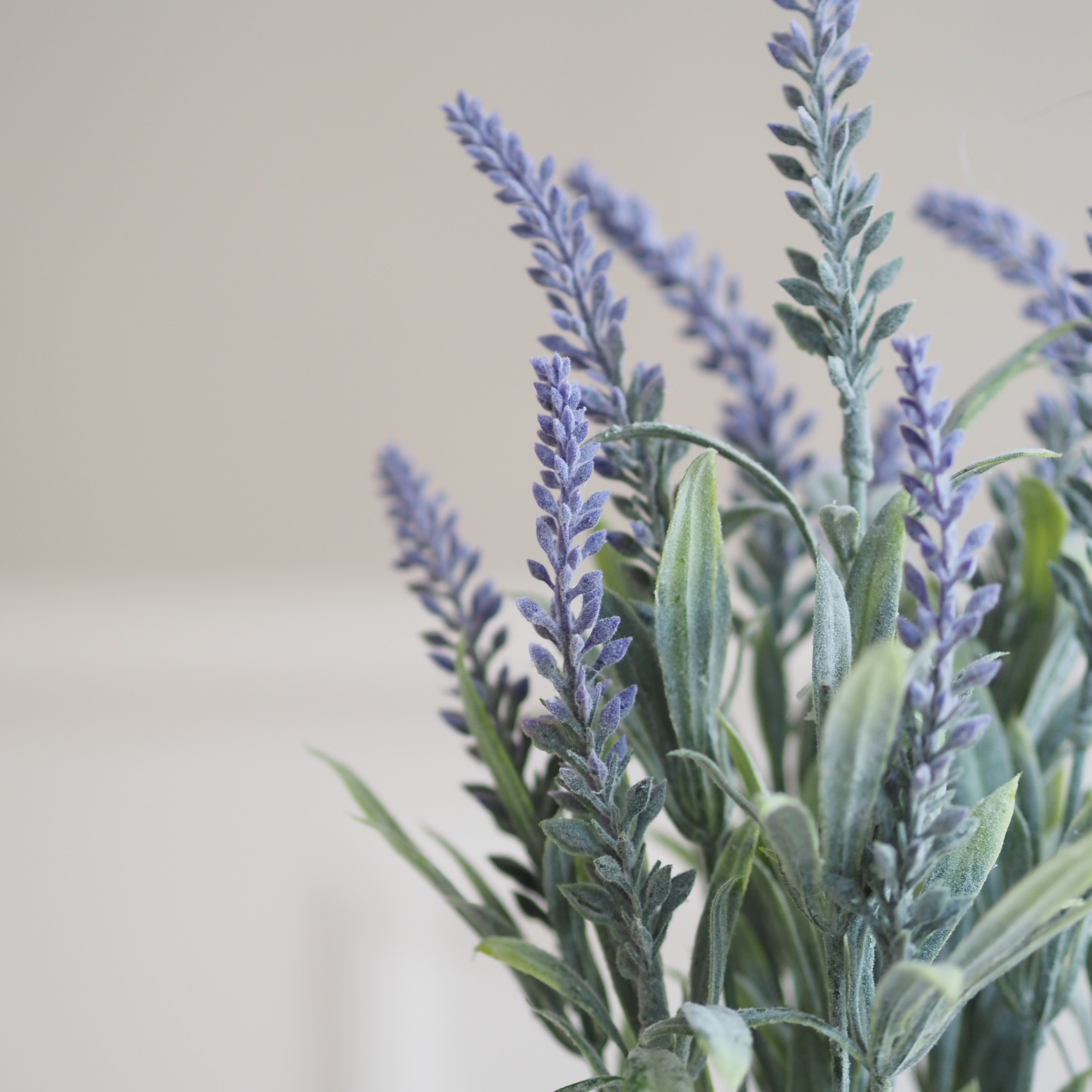 Lavendel Bündel · florale Dekoration im botanischen Stil