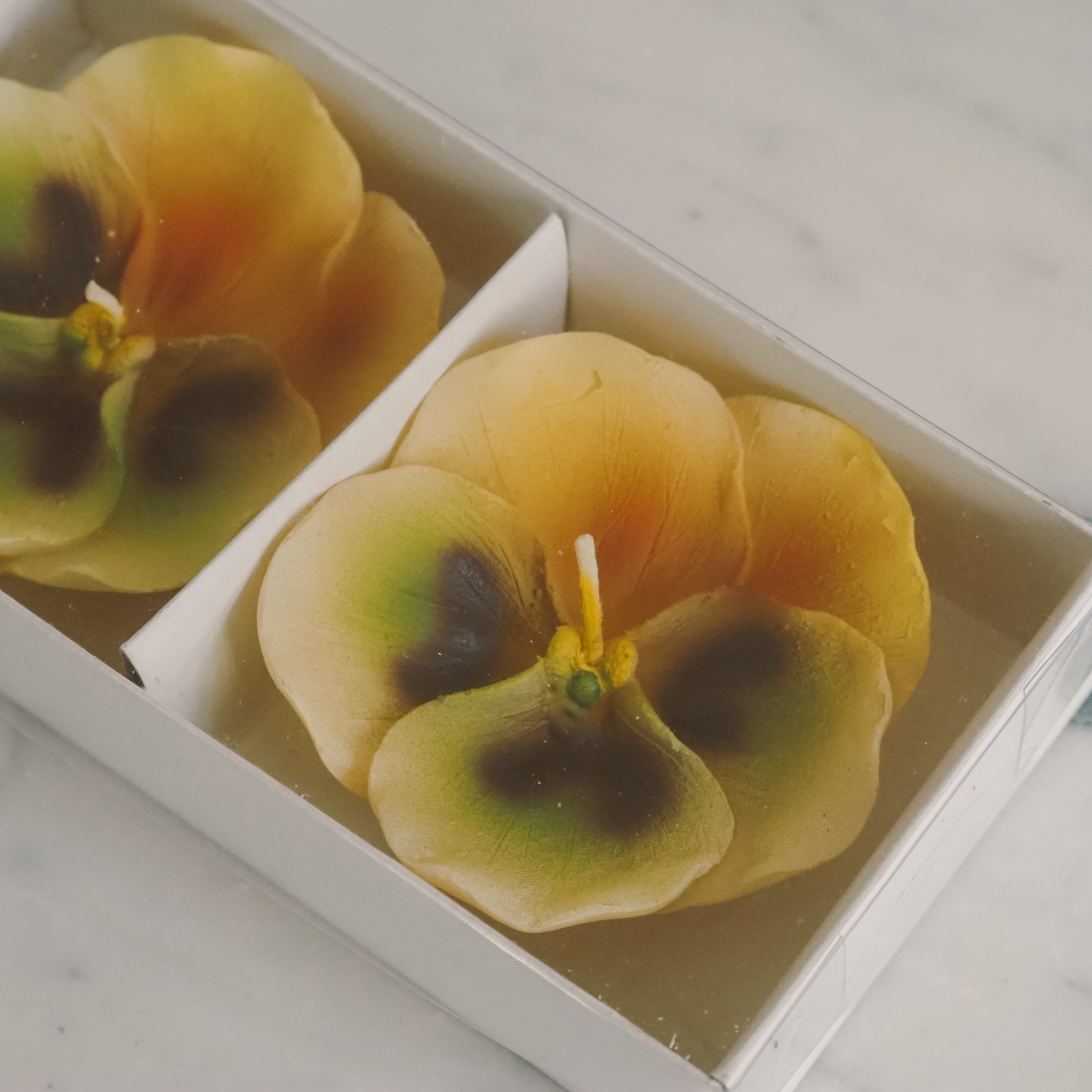 Geschenkkerzen Stiefmütterchen Gelb · florale Dekokerzen im 3er Set