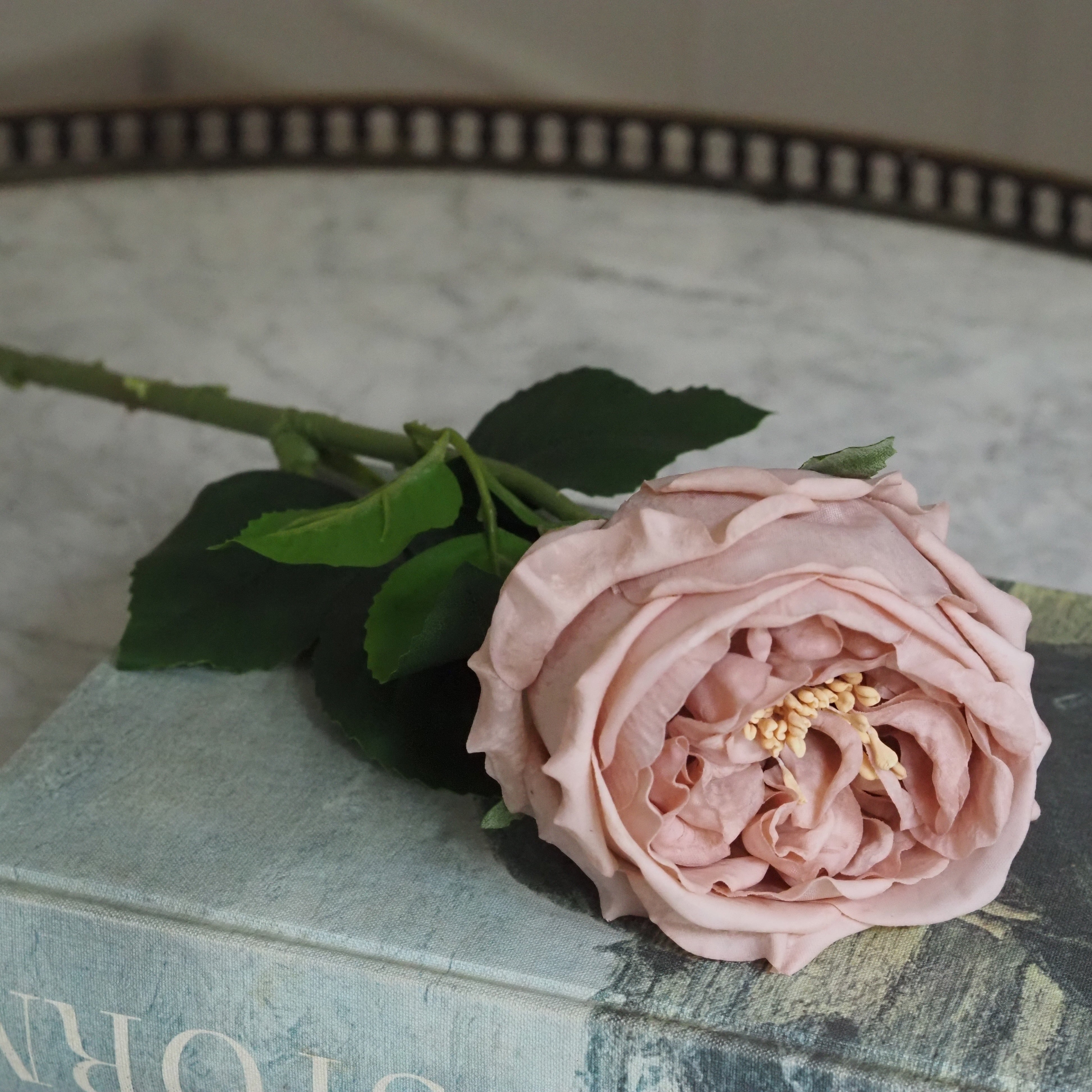 Seidenrose Altrosa · Einzelstiel Englische Gartenrose 43 cm