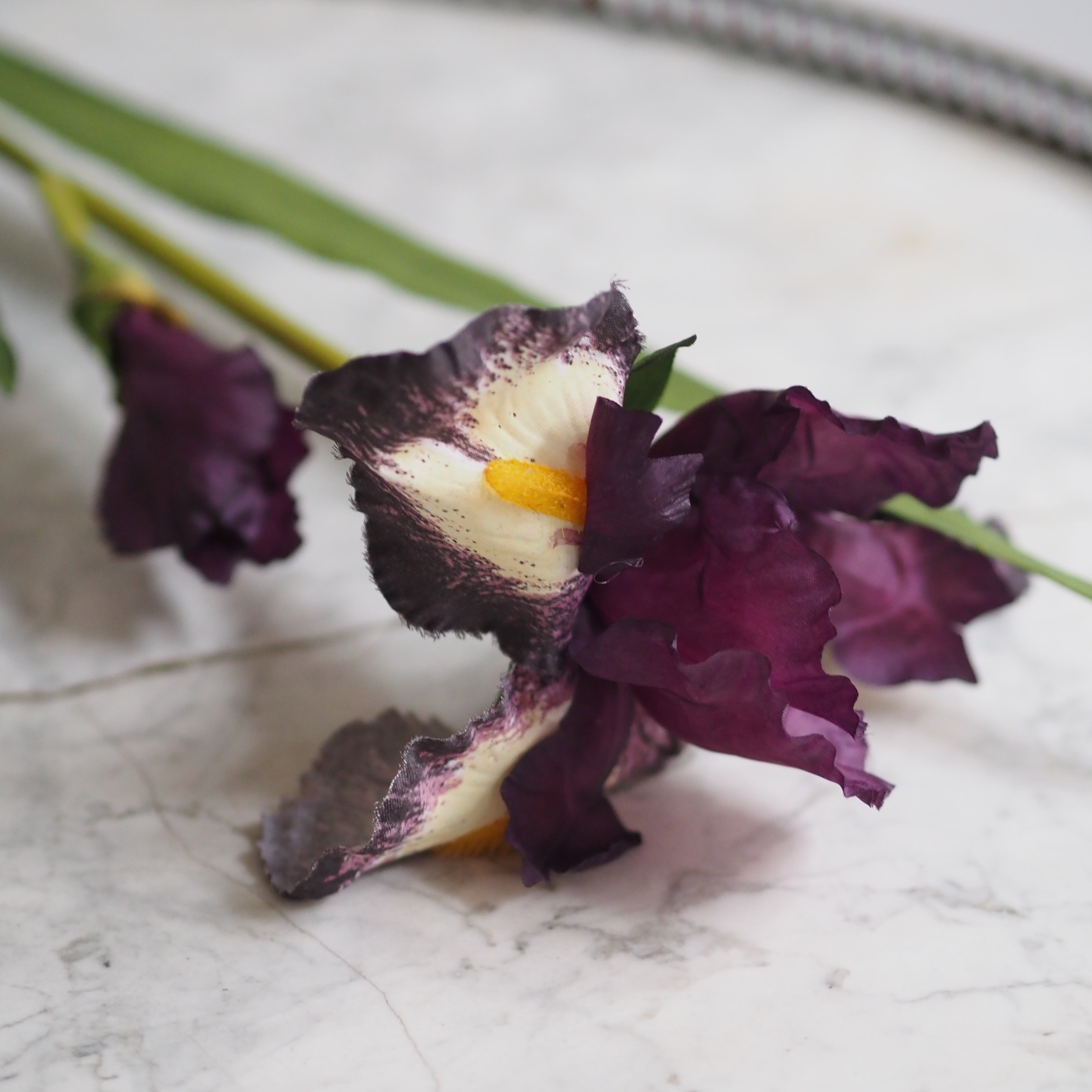 Schwertlilie · dekorativer Floristikzweig im klassischen Iris-Stil