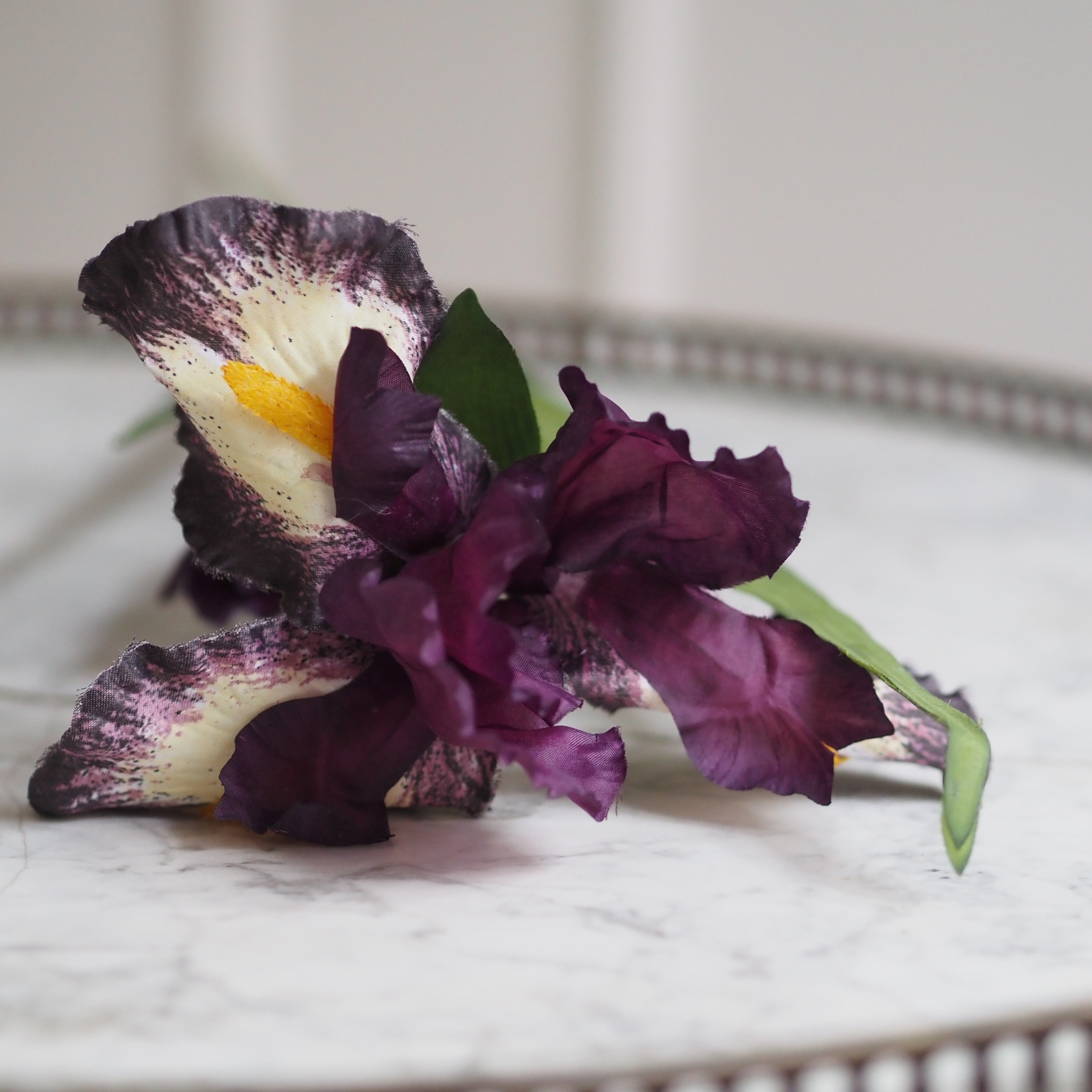 Schwertlilie · dekorativer Floristikzweig im klassischen Iris-Stil