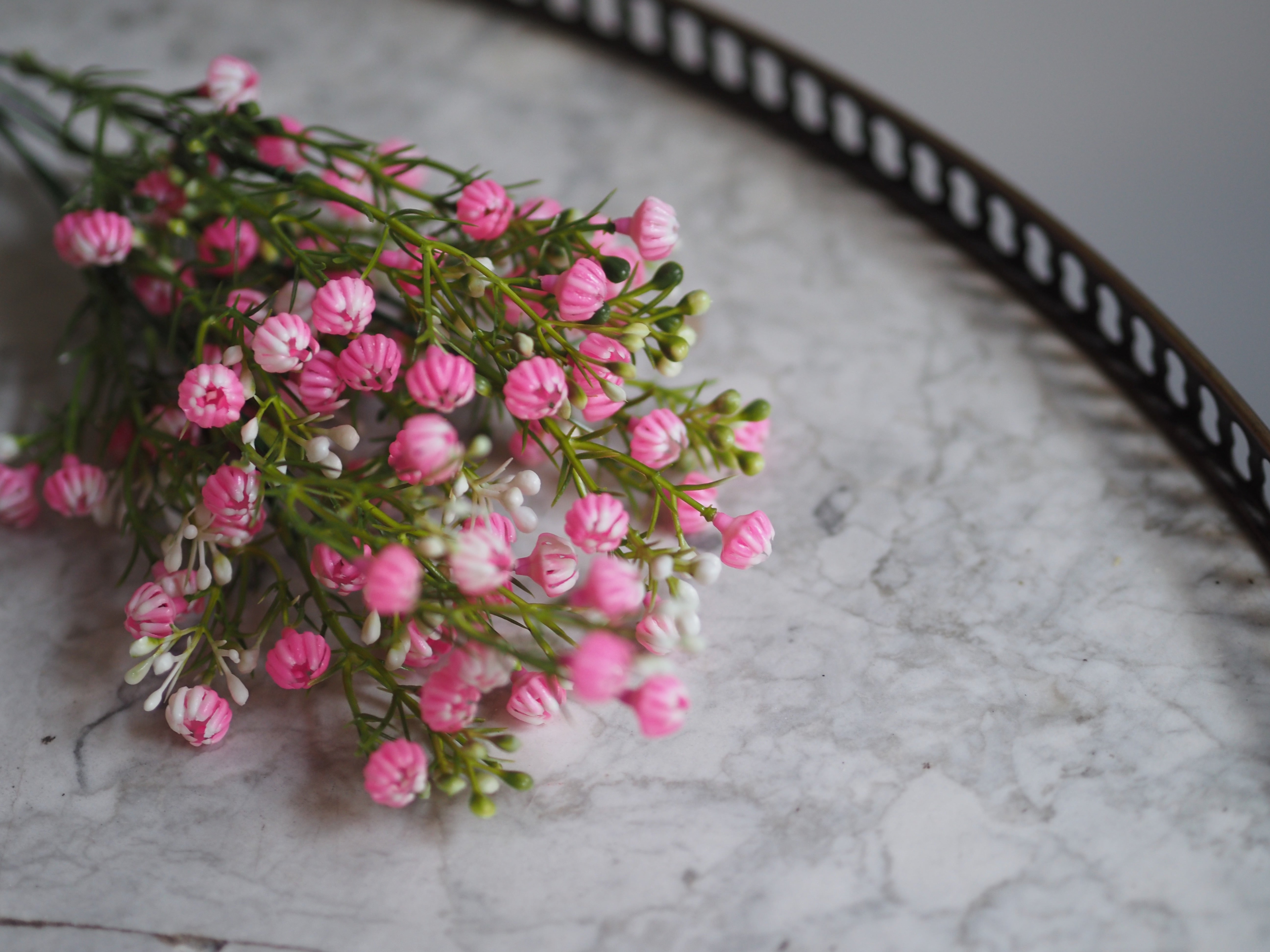 Zierliche Schleierblume · Dekorativer Blütenzweig in Rosa