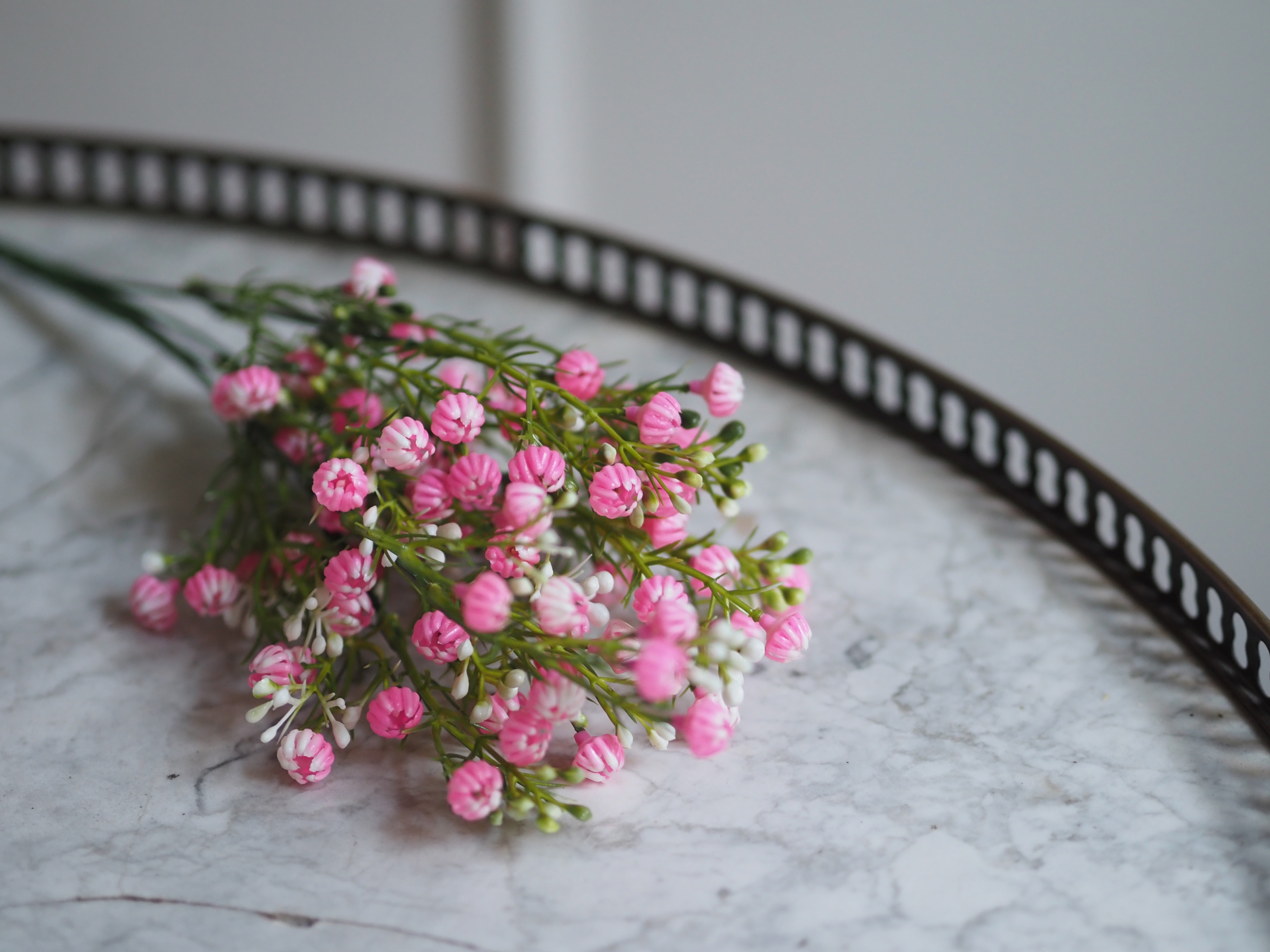 Zierliche Schleierblume · Dekorativer Blütenzweig in Rosa