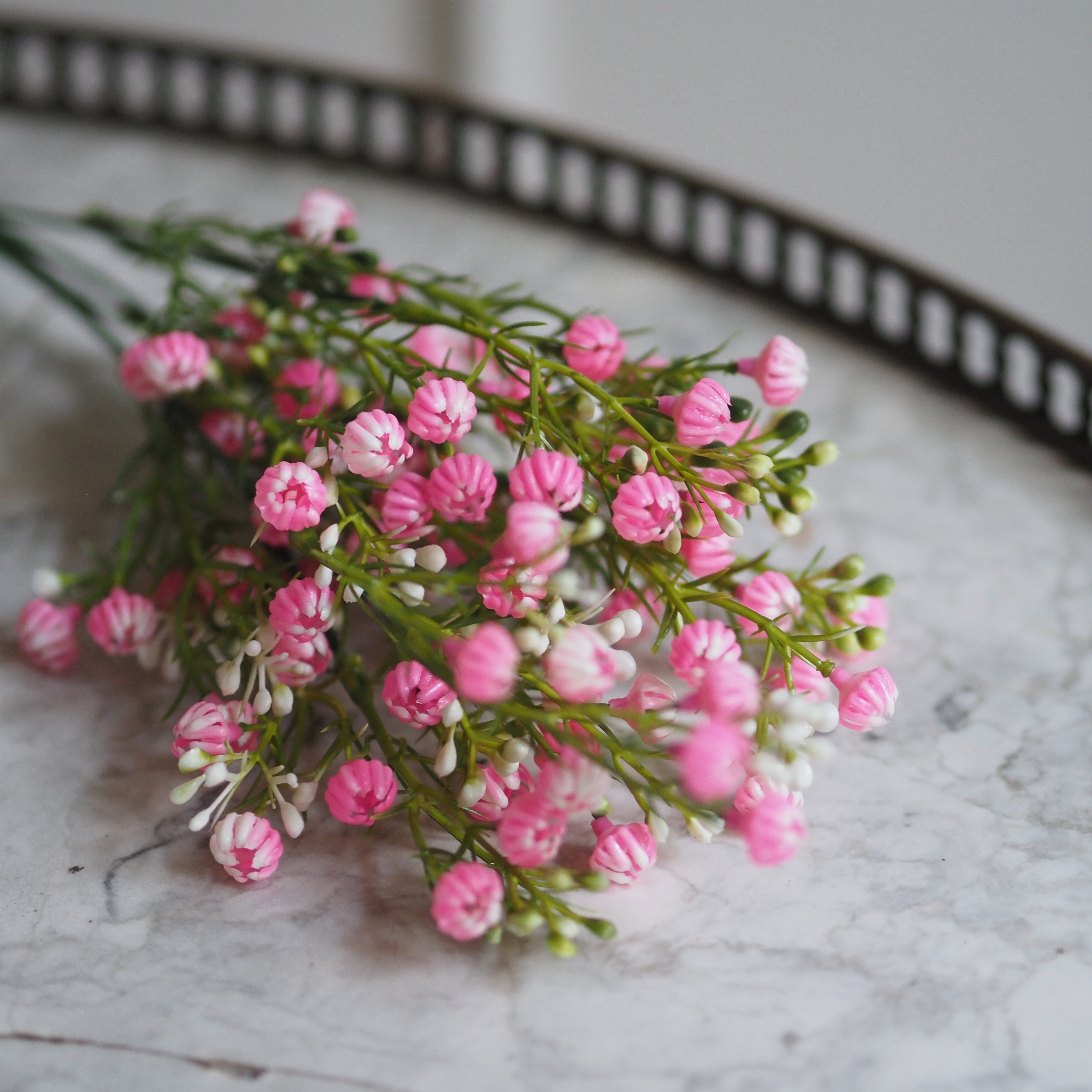 Zierliche Schleierblume · Dekorativer Blütenzweig in Rosa