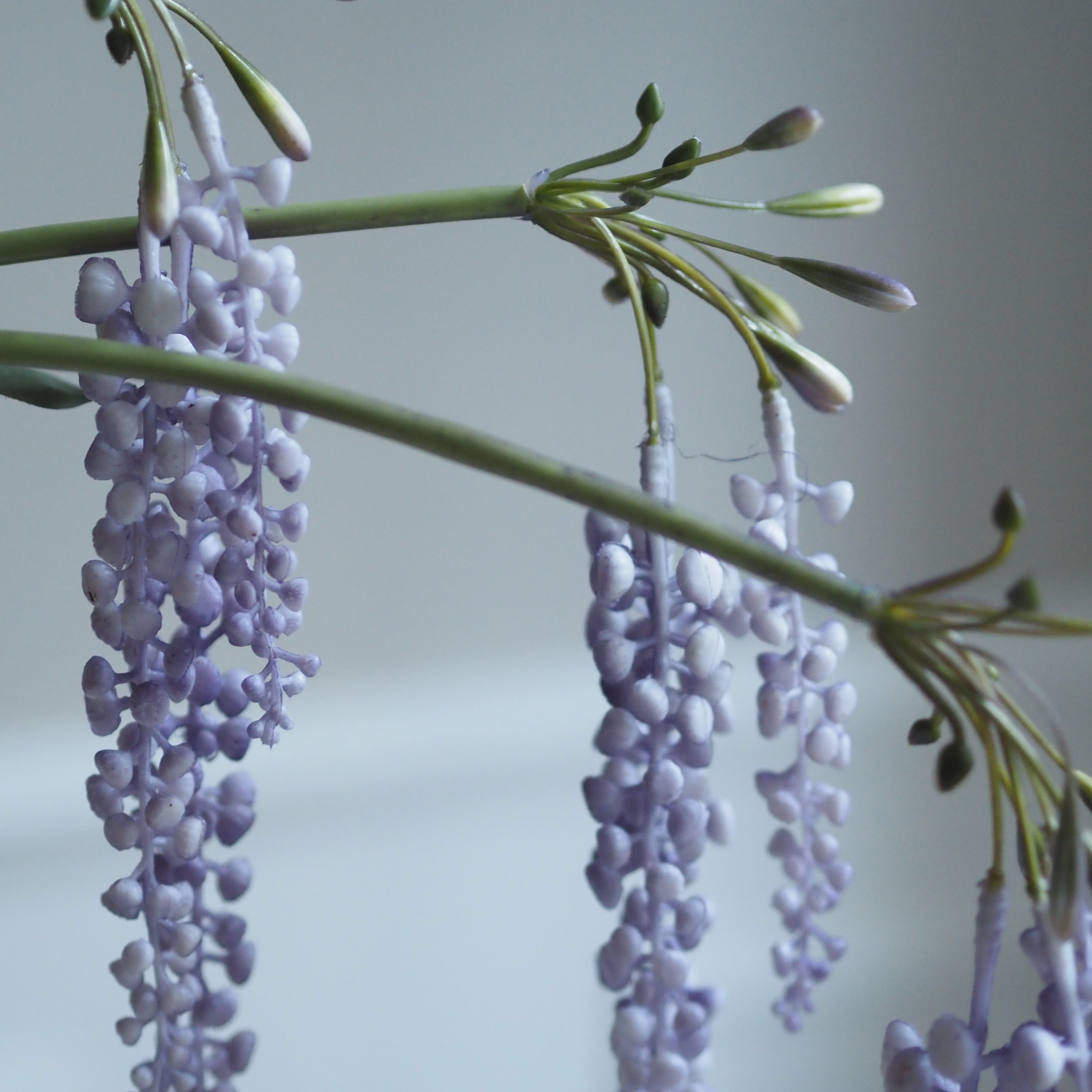 Blütenzweig Blauregen · Hängender Dekozweig in [ROSA / VIOLETT]