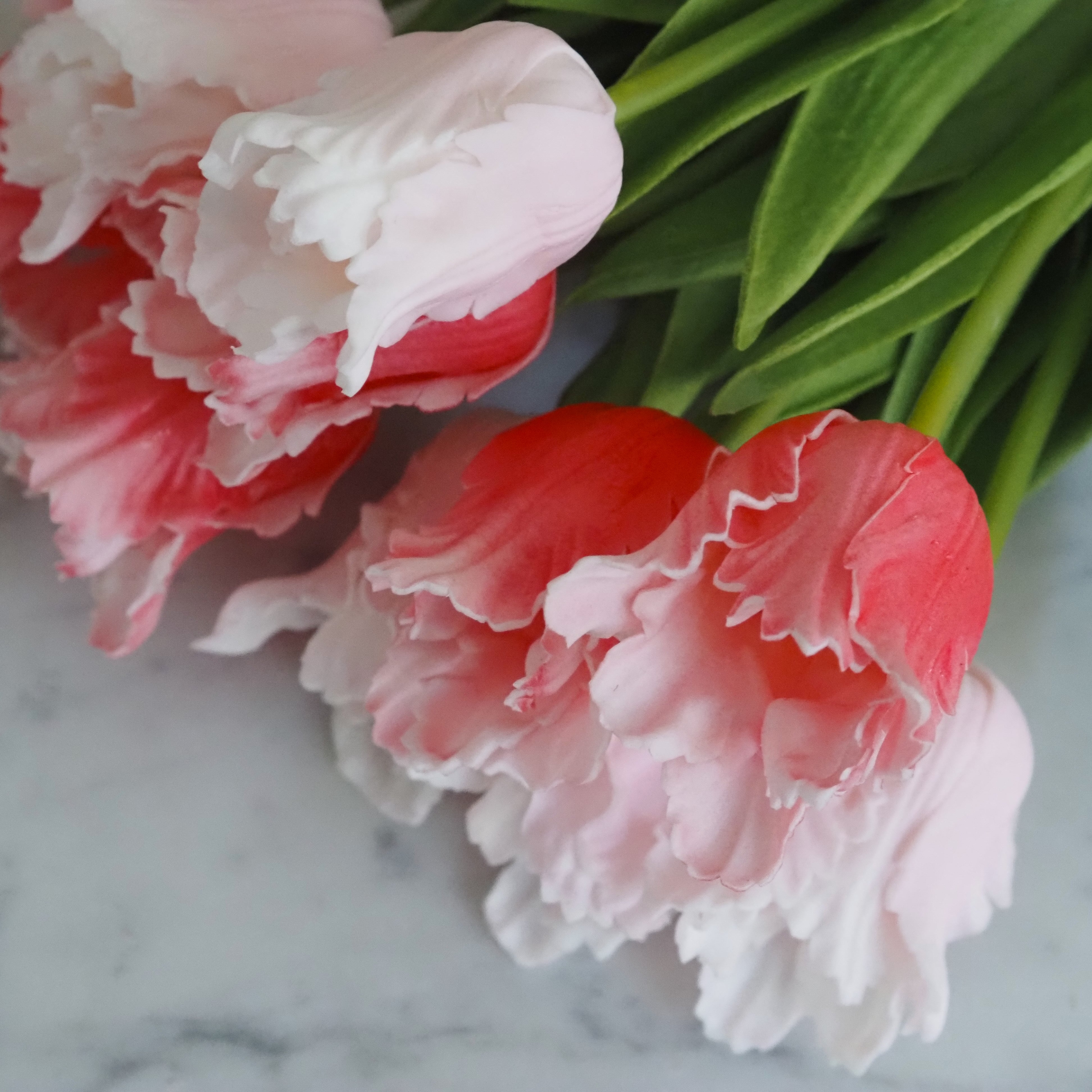 Dekorative Tulpen im Bund · florales Arrangement in rosa-weißer Ausführung