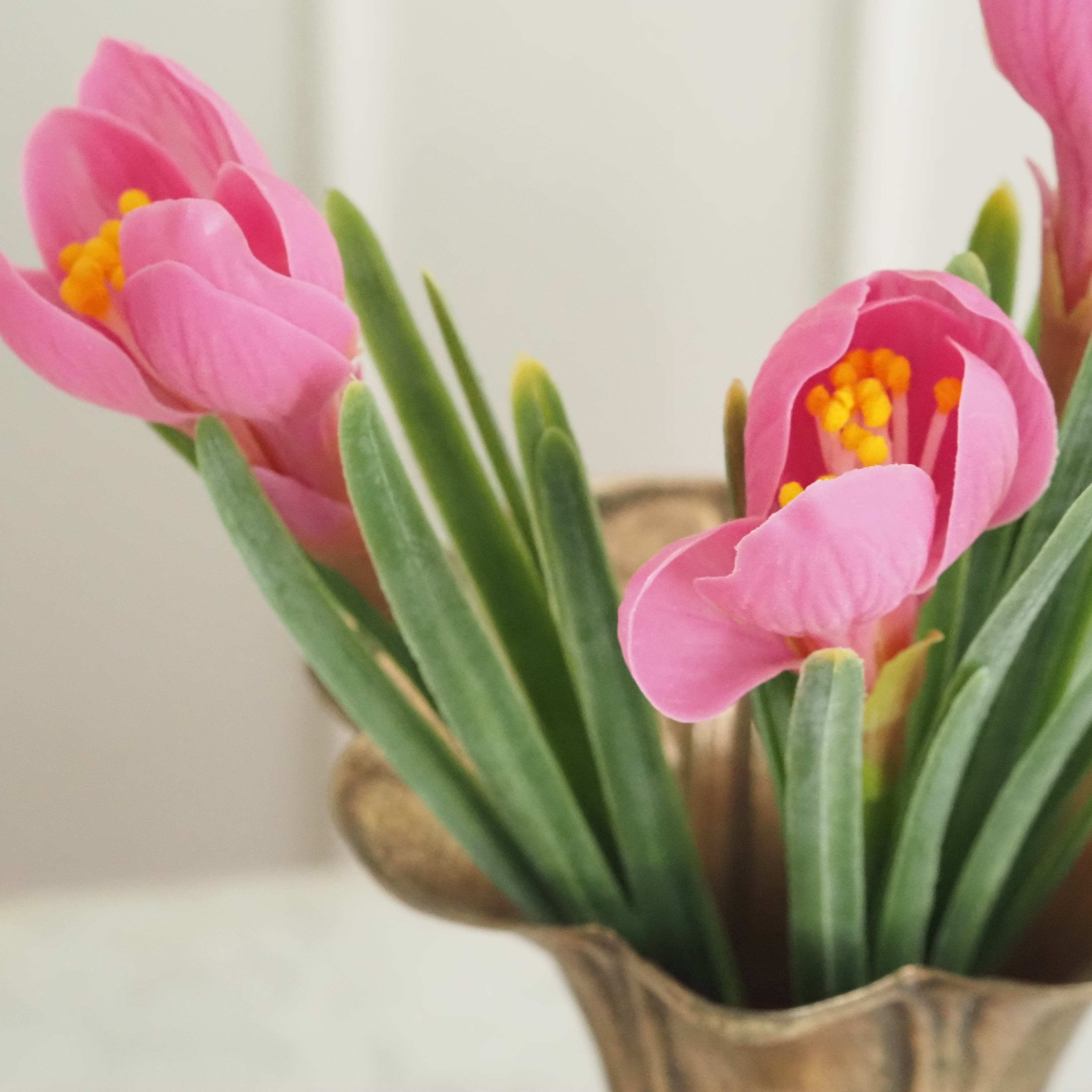 Blütenzweig rosa · florale Dekoration