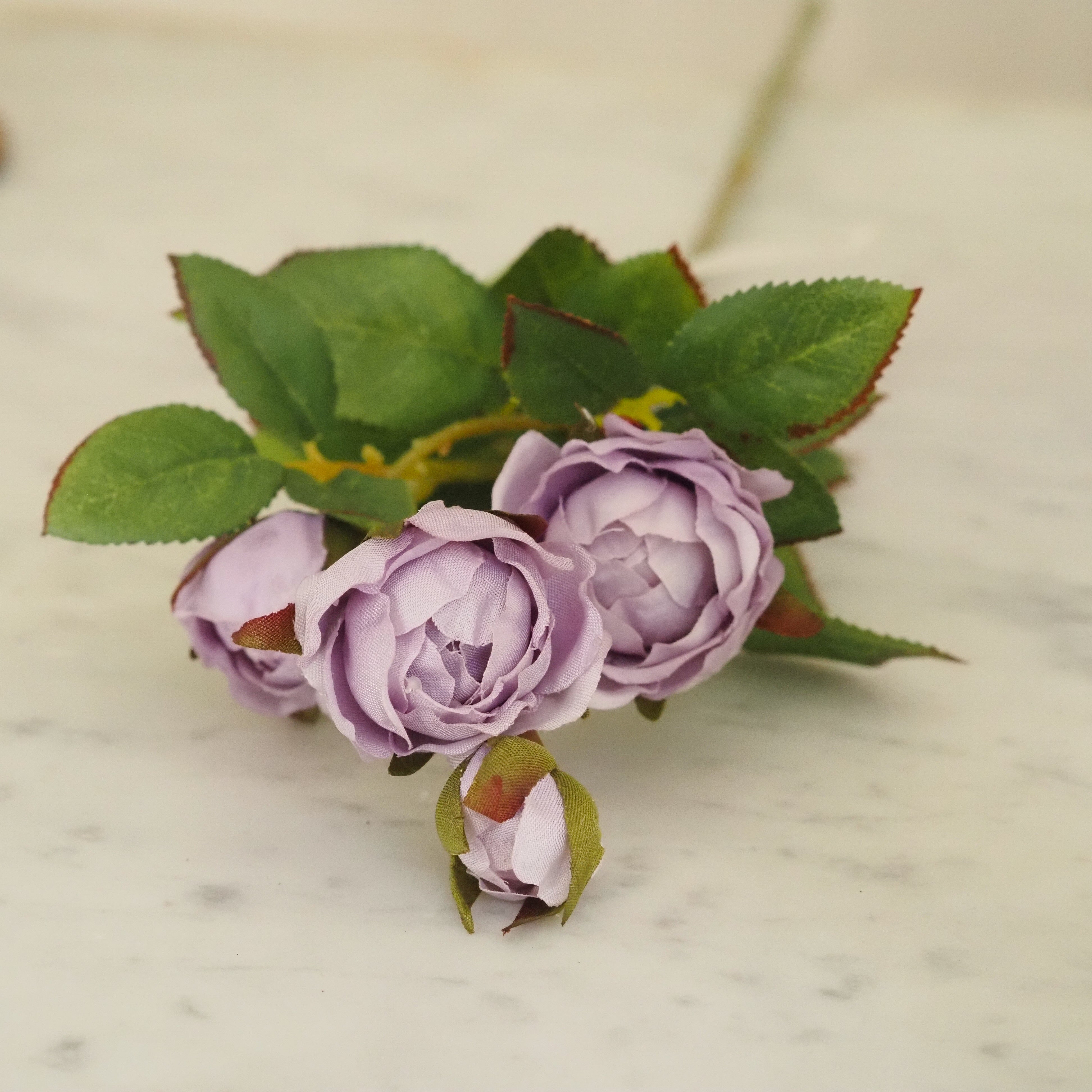 Rosenzweig · lila Blütenzweig im nostalgischen Landhausstil