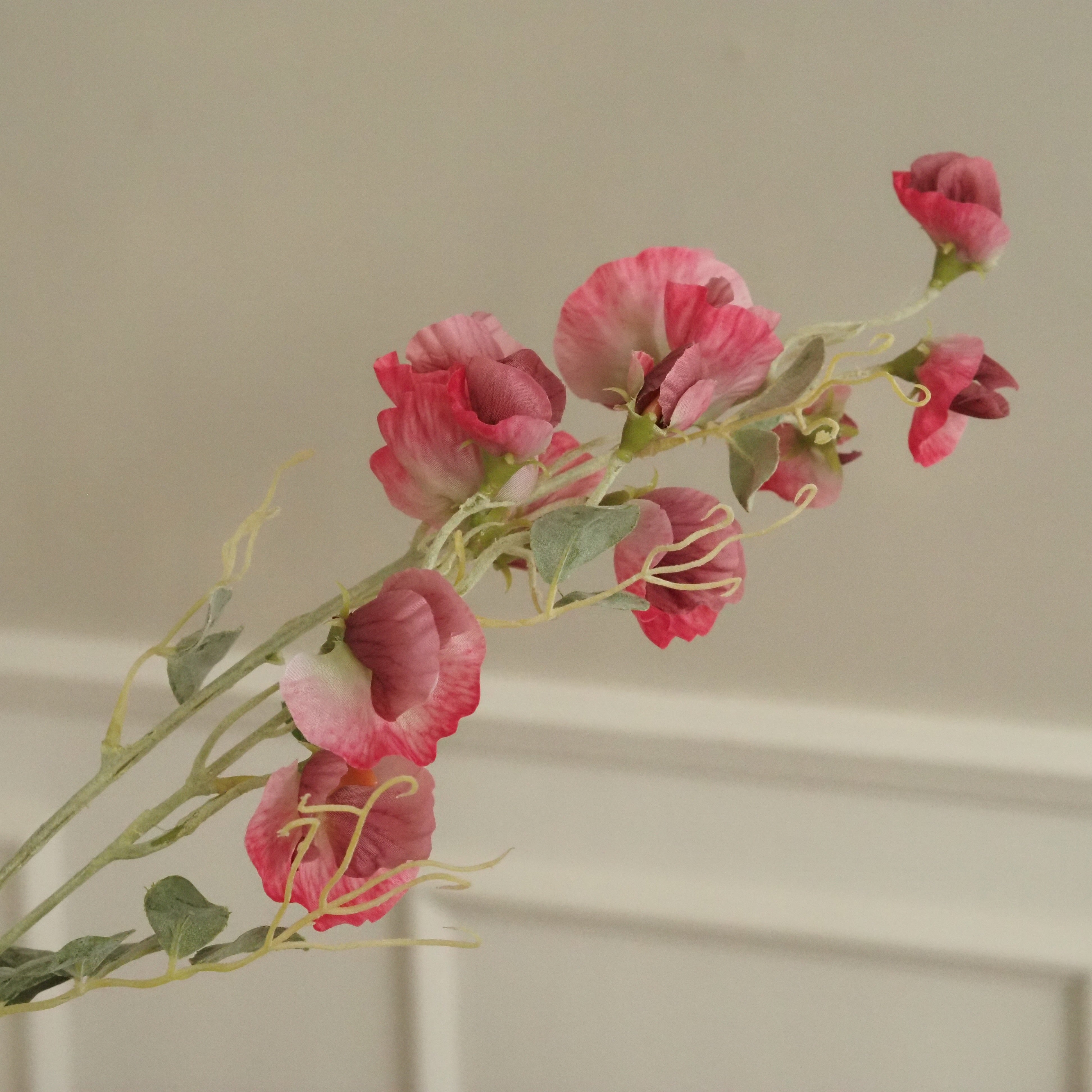 Duftwickenzweig · floraler Dekozweig in Rosa