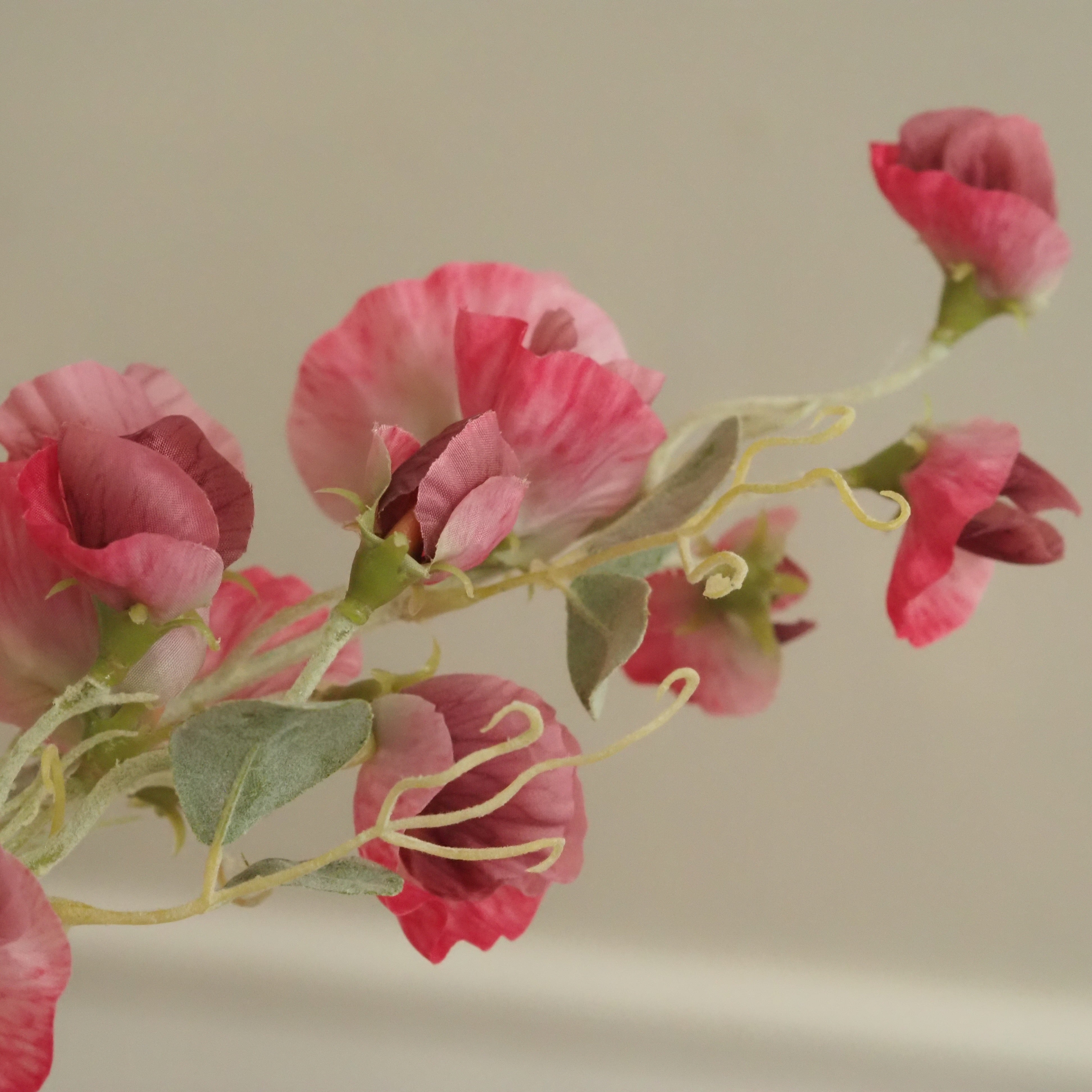 Duftwickenzweig · floraler Dekozweig in Rosa