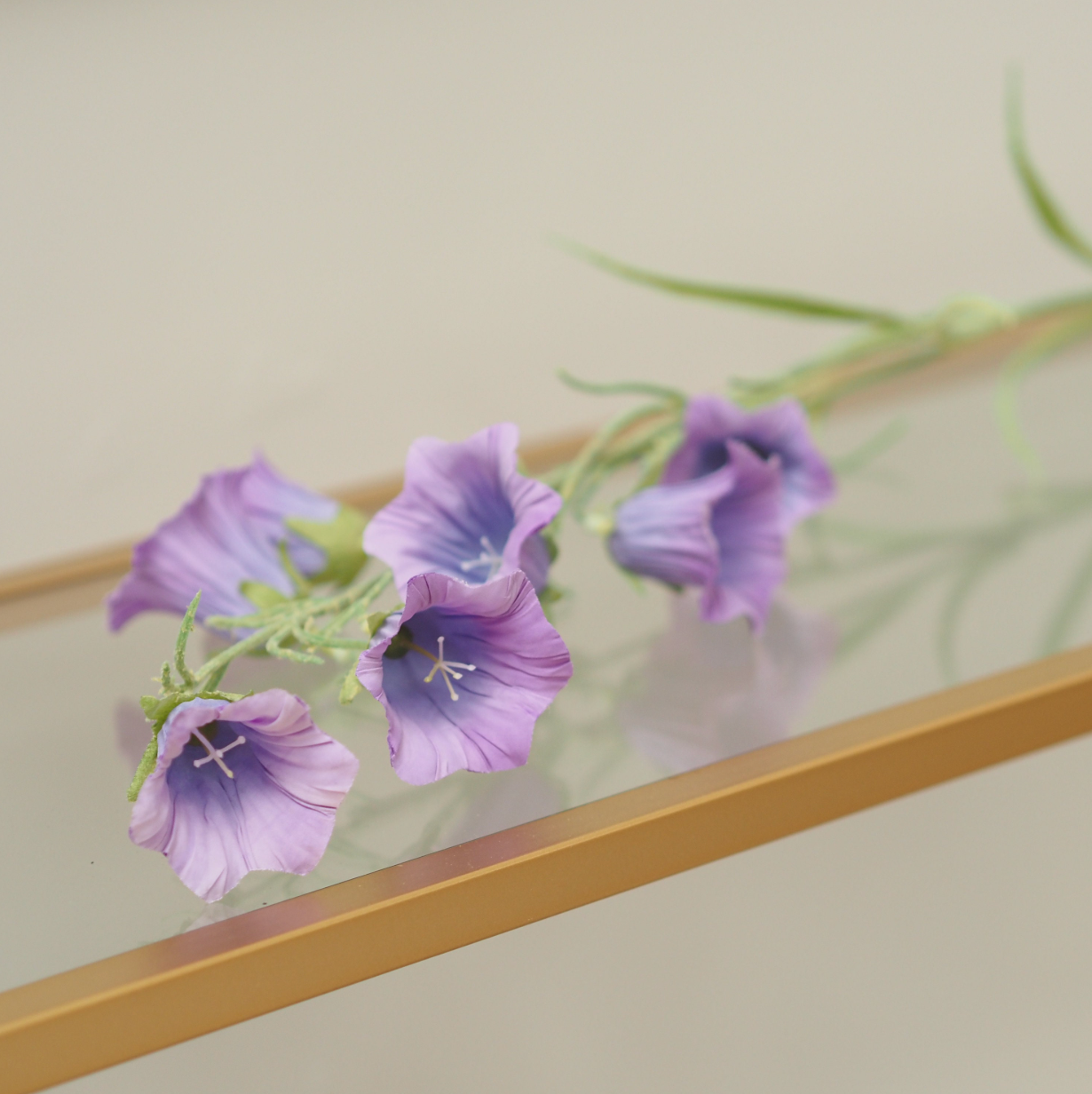 Blütenzweig · sommerliche Wiesenfloristik / Vasendekoration