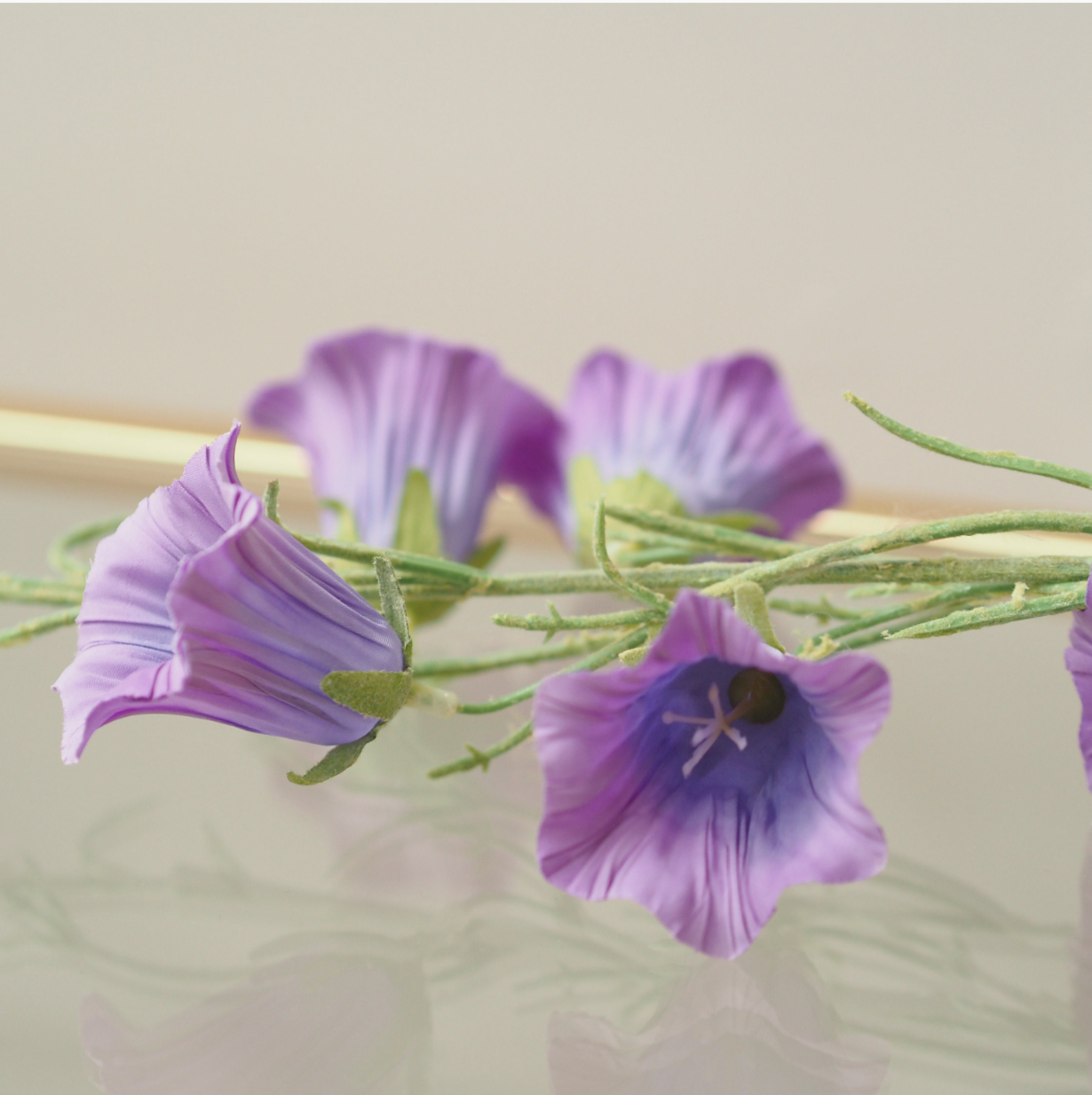 Blütenzweig · sommerliche Wiesenfloristik / Vasendekoration
