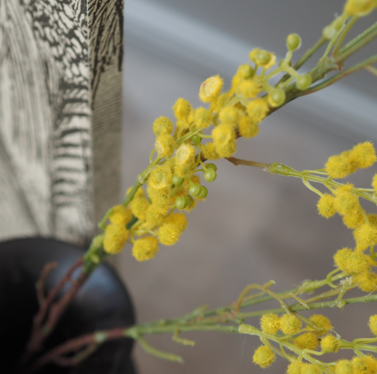 Mimosa-Zweig · dekorativer Blütenzweig in gelb-grüner Ausführung