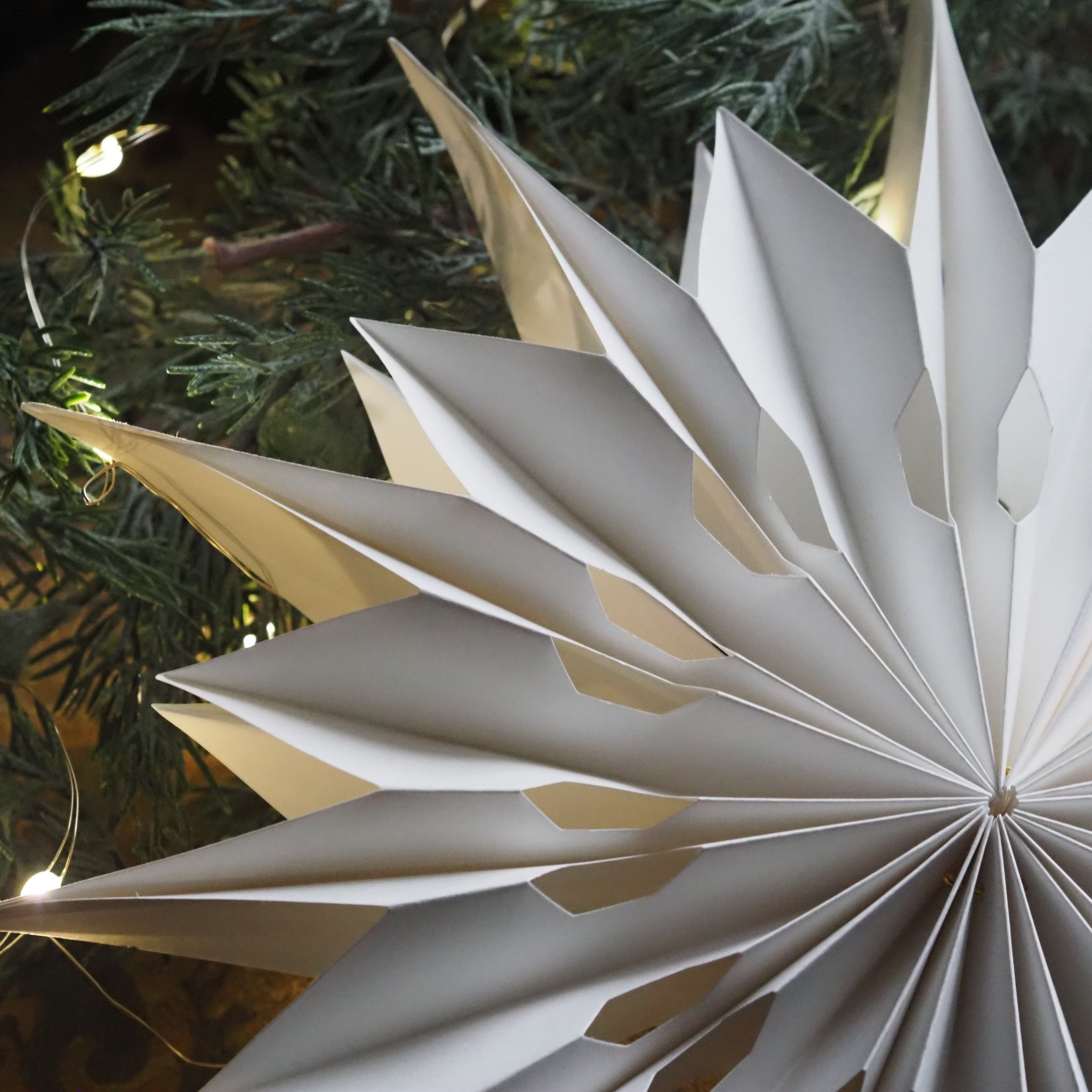 SAISON - DECOR - Weihnachtsstern